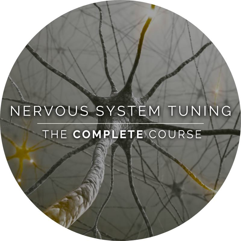 Full nervous system course