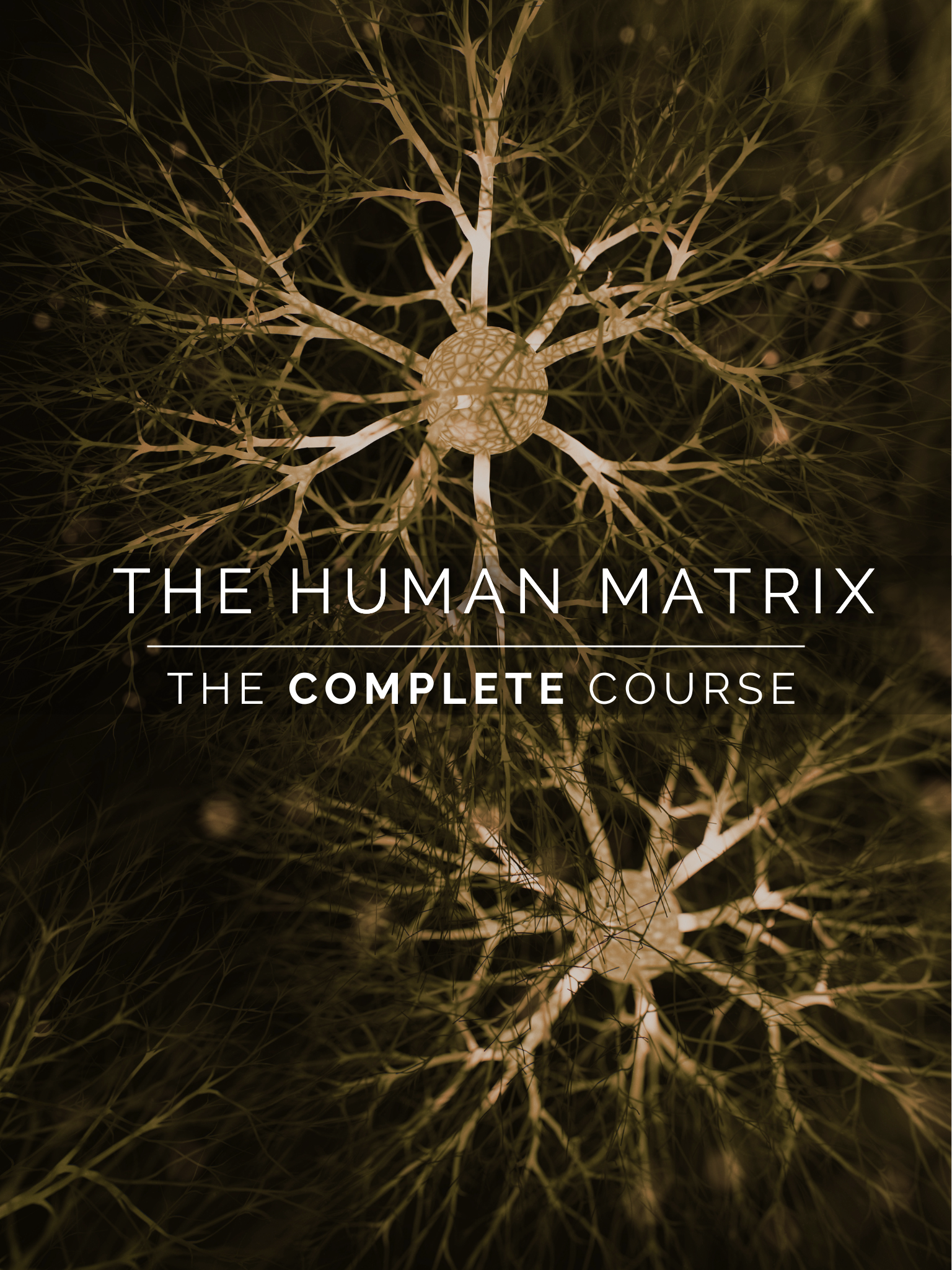 COMPLETE CONNECTIVE TISSUE COURSE