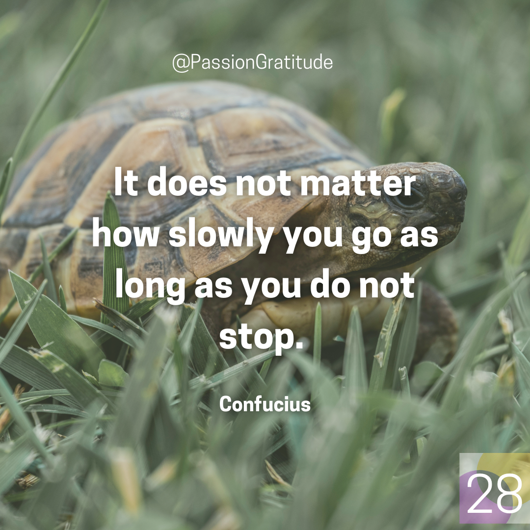 Confucius quote