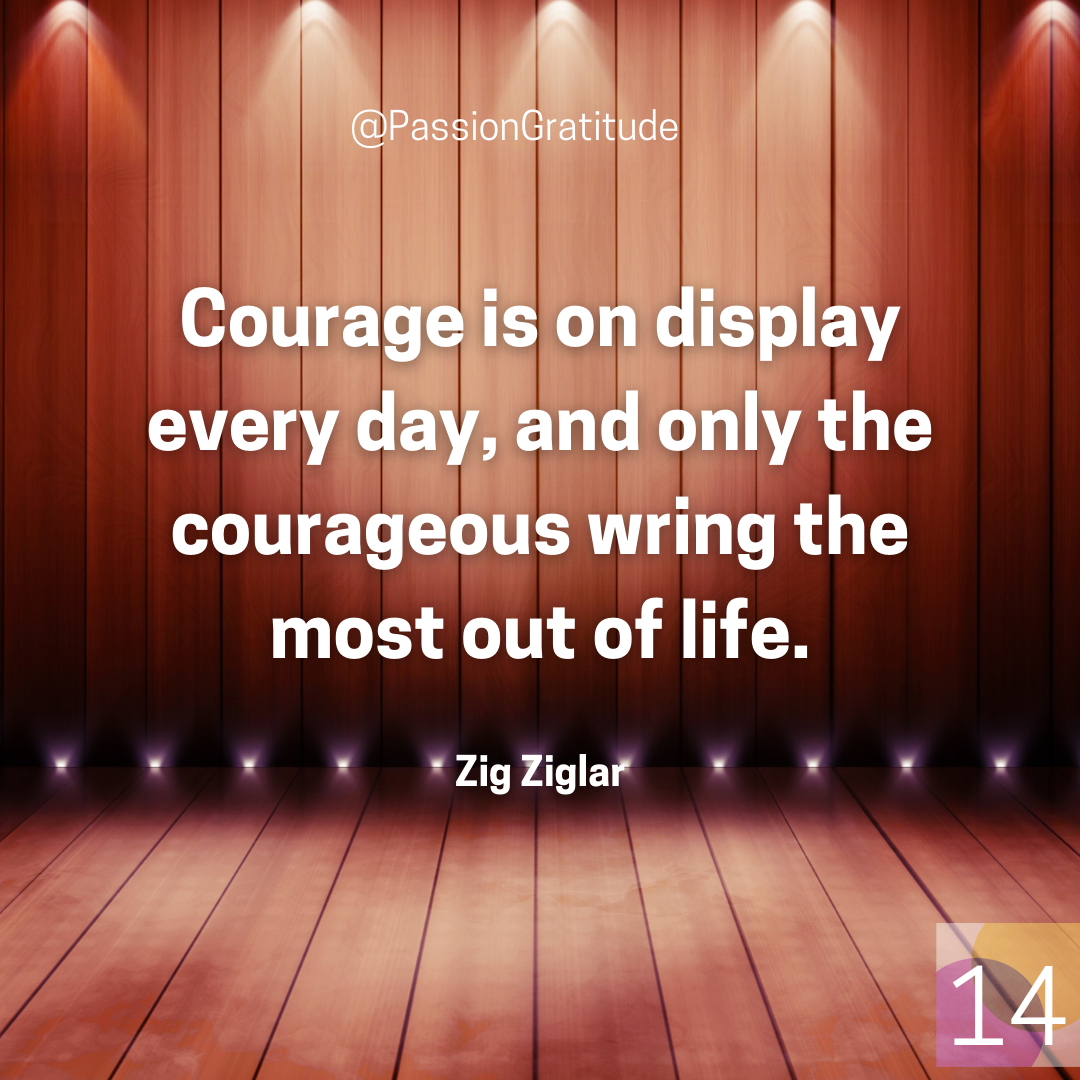 Zig Ziglar quote