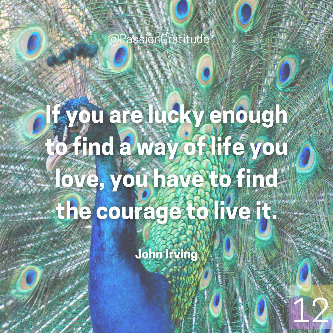 John Irving quote