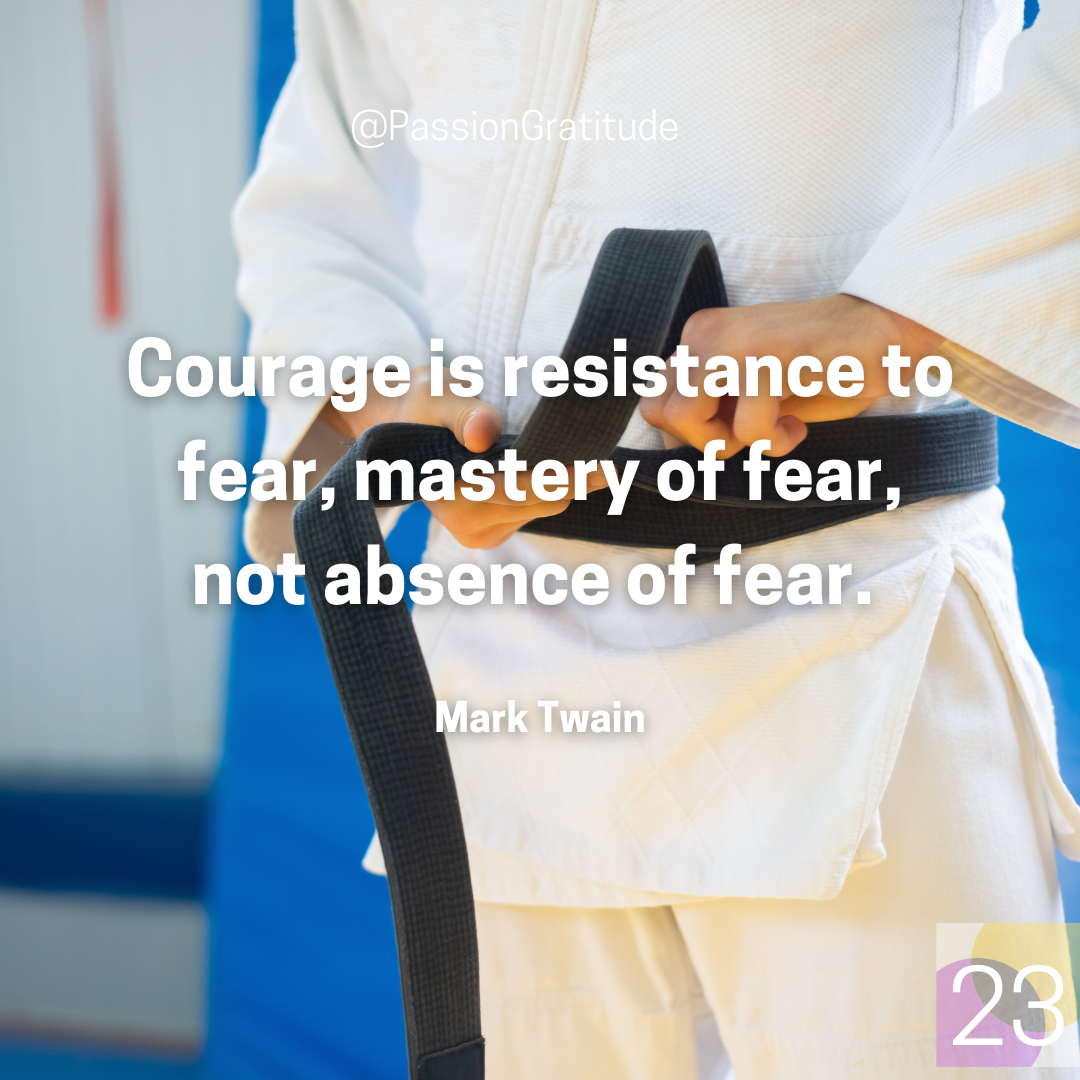 Mark Twain quote