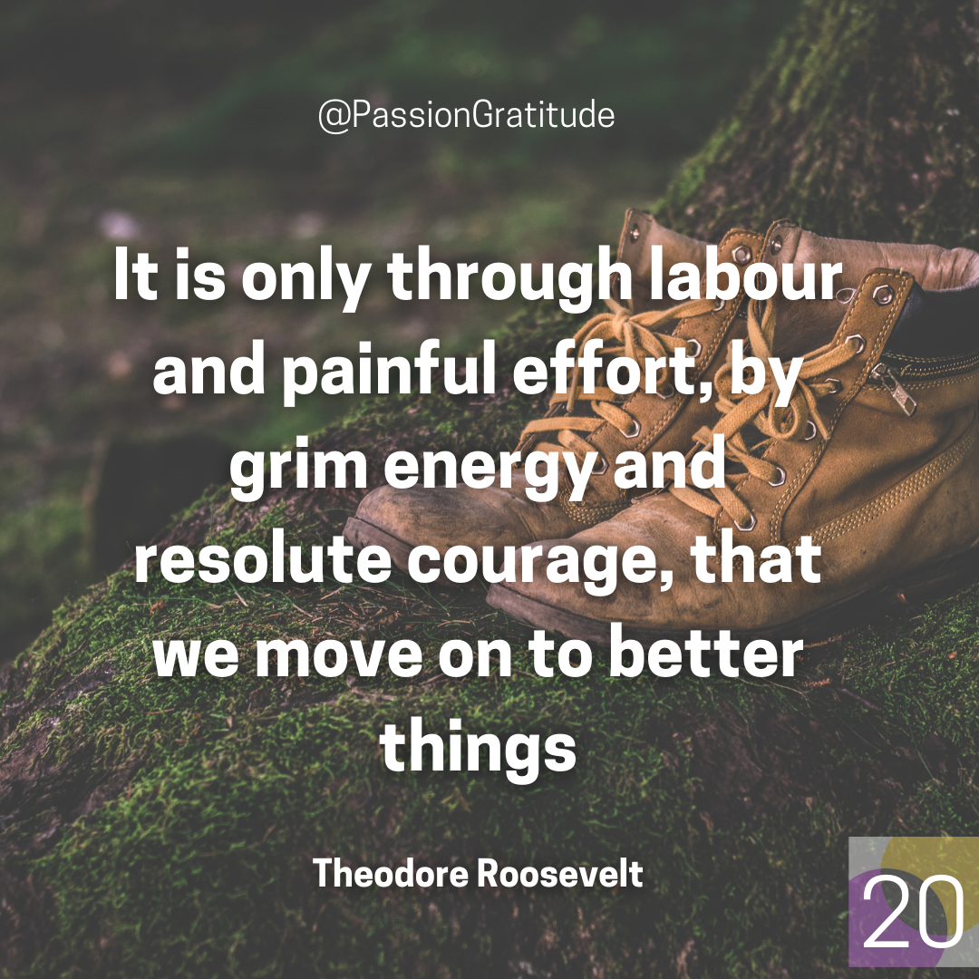 Theodore Roosevelt quote