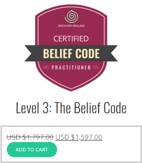 Level 3: The Belief Code