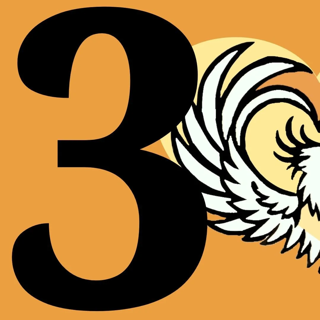 Number 3 with phoenix background
