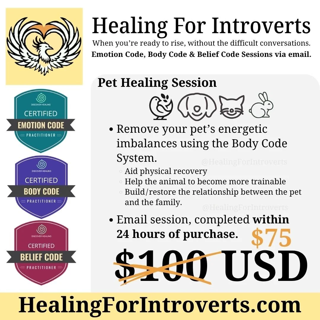 Promotional flyer for Healing for Introverts Pet sessions