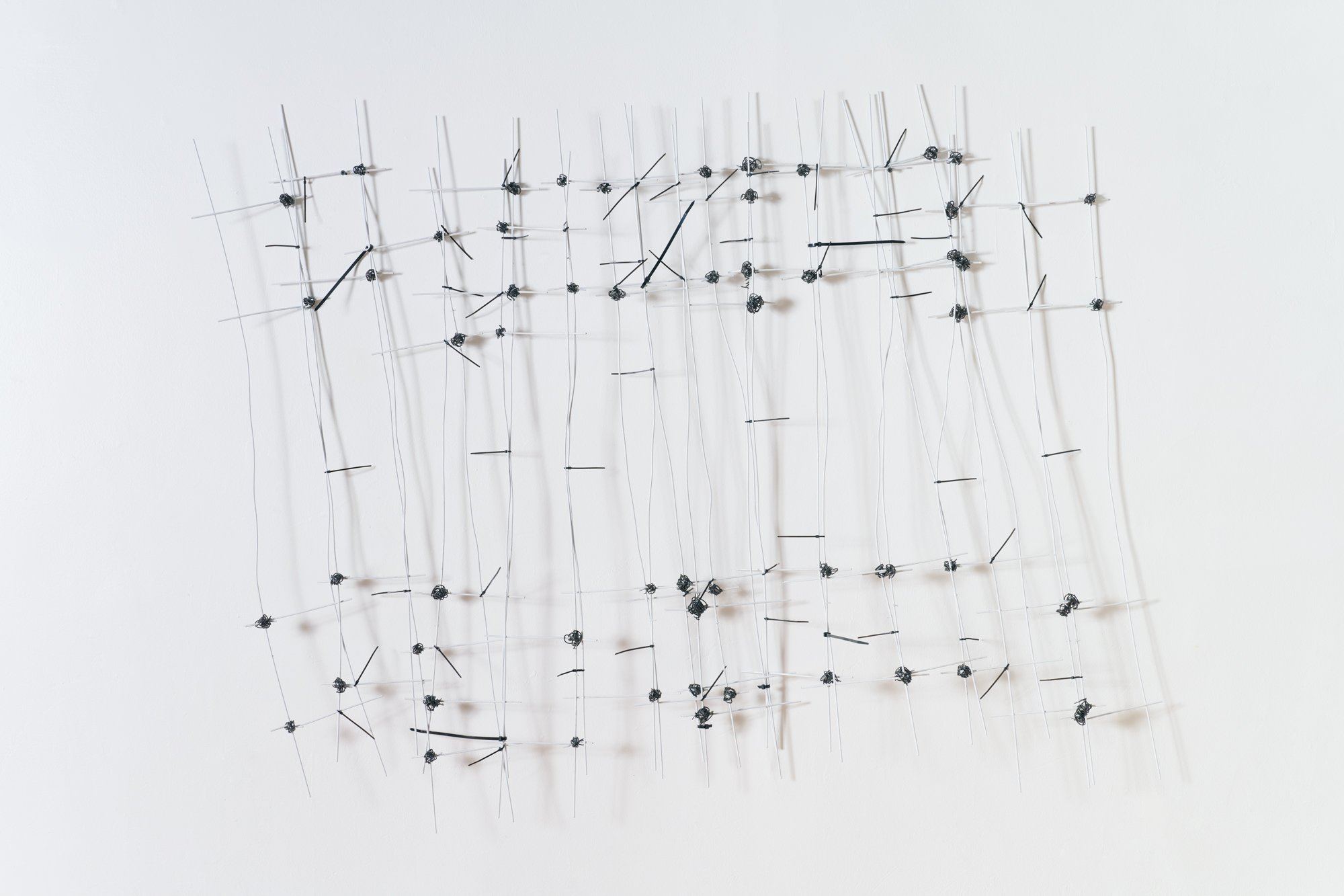 20250905 Cecilia docu_193 copy.jpg