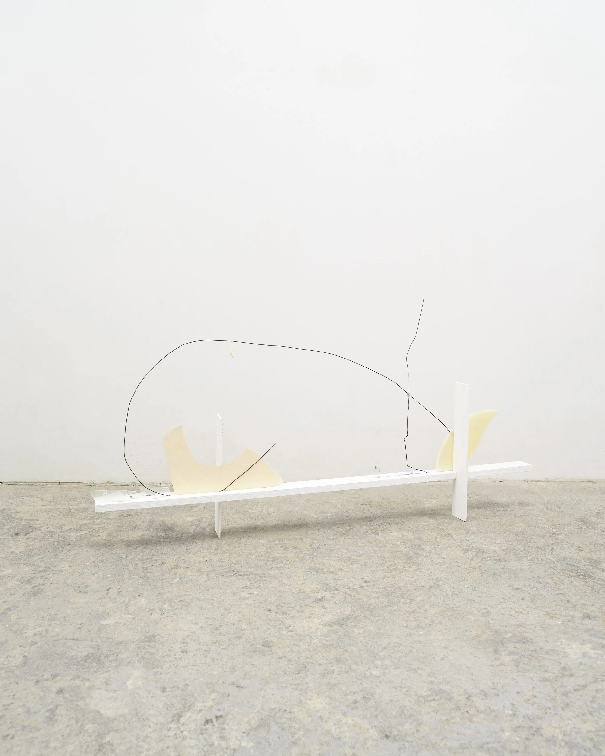 20260416_CeciliaCaldiera_Documentation0428 copy.jpg