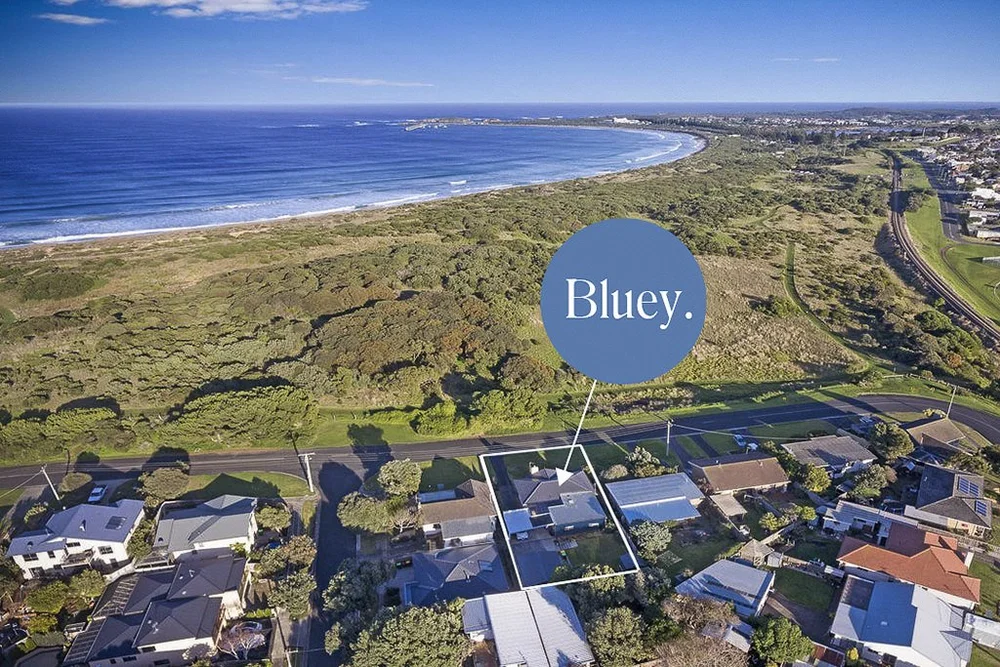 Family Pet Friendly Accommodation Warrnambool Bluey House Bluey Family pet friendly accommodation warrnambool bluey house bluey
