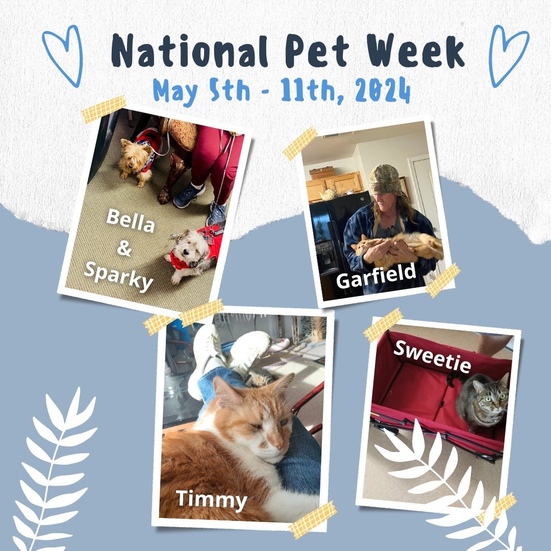&quot;🐾 It's a week full of furry love at Mintbrook Apartments! As we celebrate National Pet Week and Be Kind to Animals Week, let's honor our beloved companions who fill our lives with joy and warmth. From wagging tails to purring cuddles, our pets
