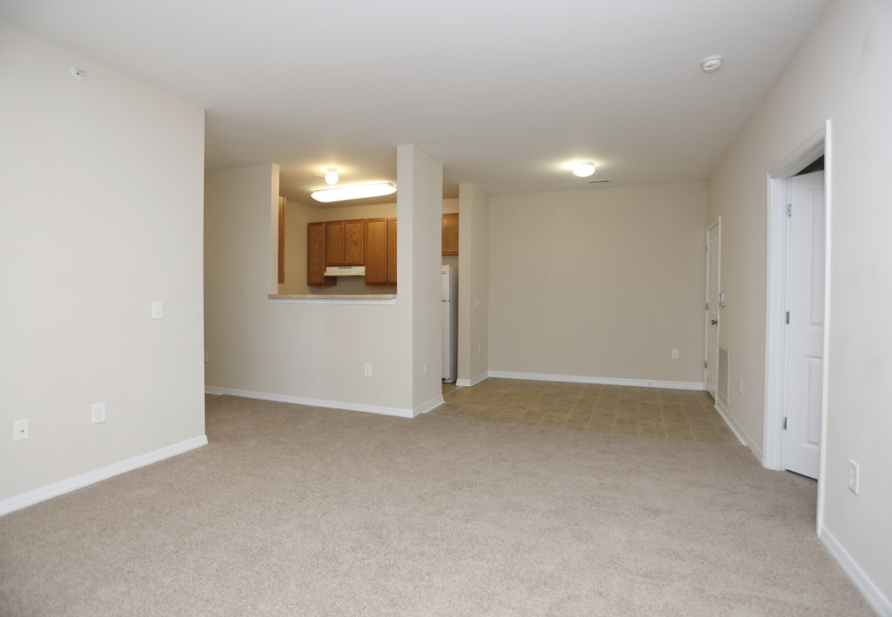 Montague Terrace — Humanities Foundation