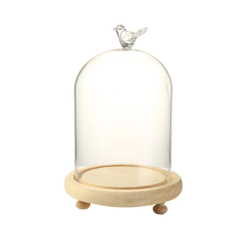 Amazon - Transparent Glass Display Dome Cloche