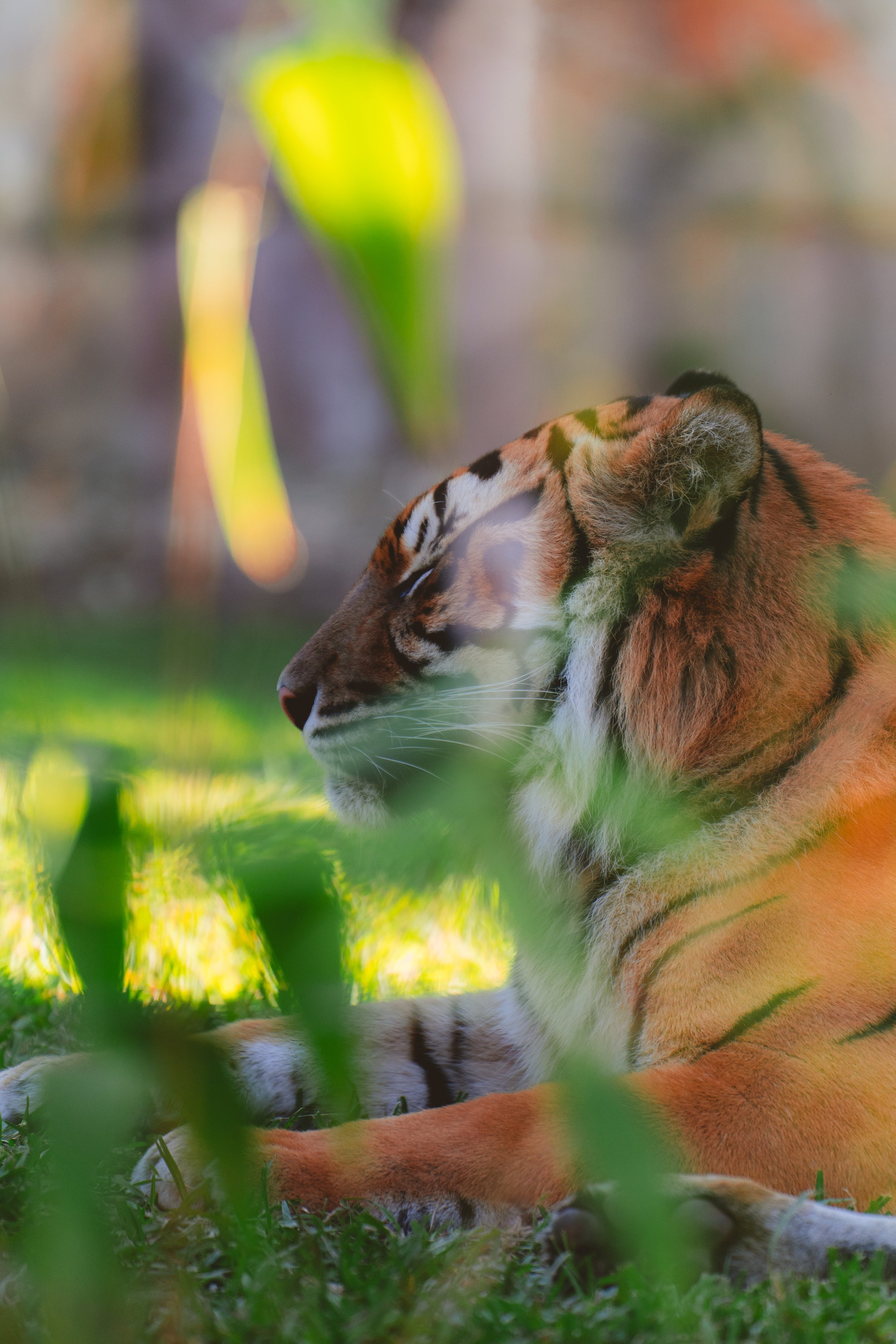 Squish-Aus-Zoo-3.jpg