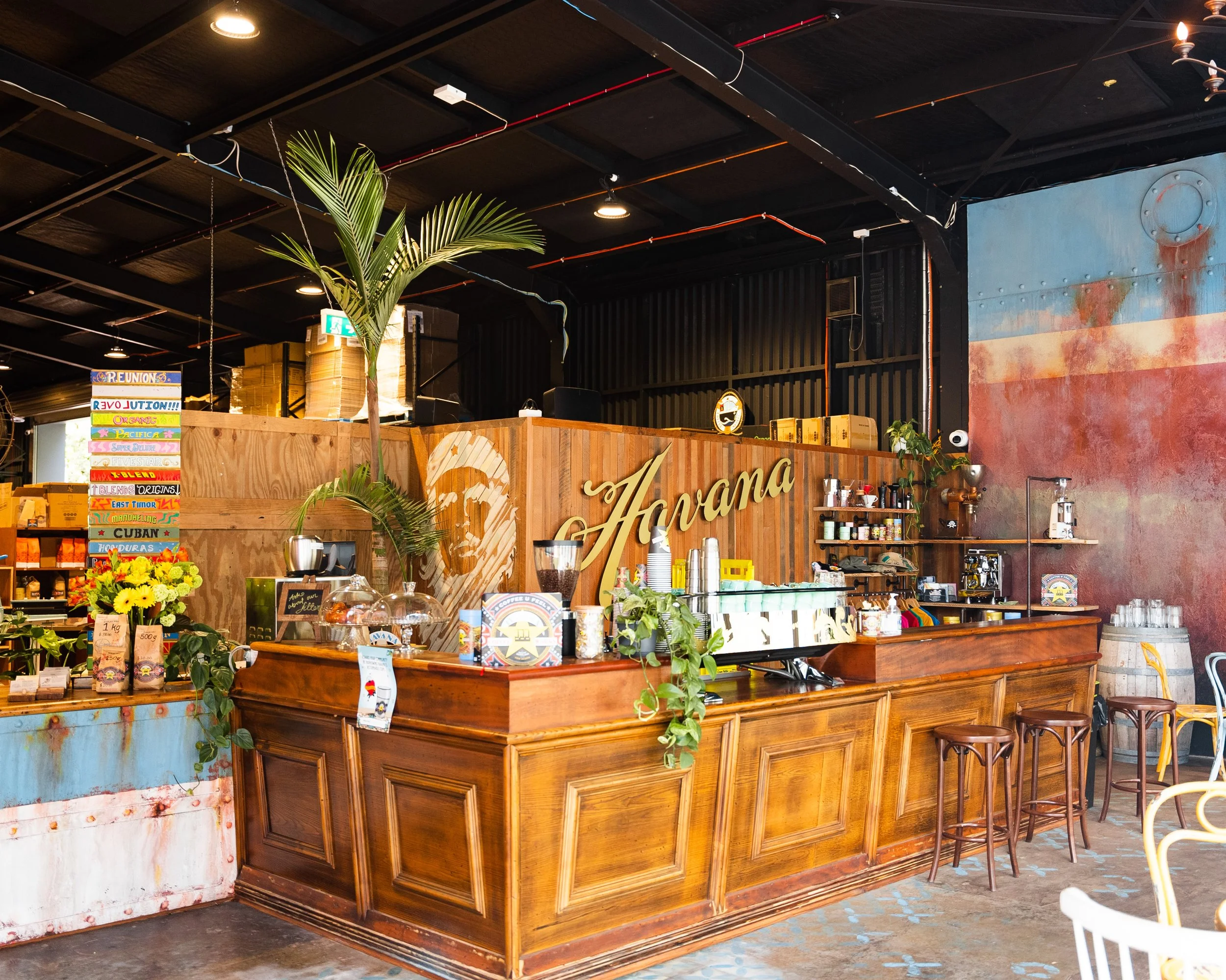 Havana_Auckland_Department-42(1).jpg