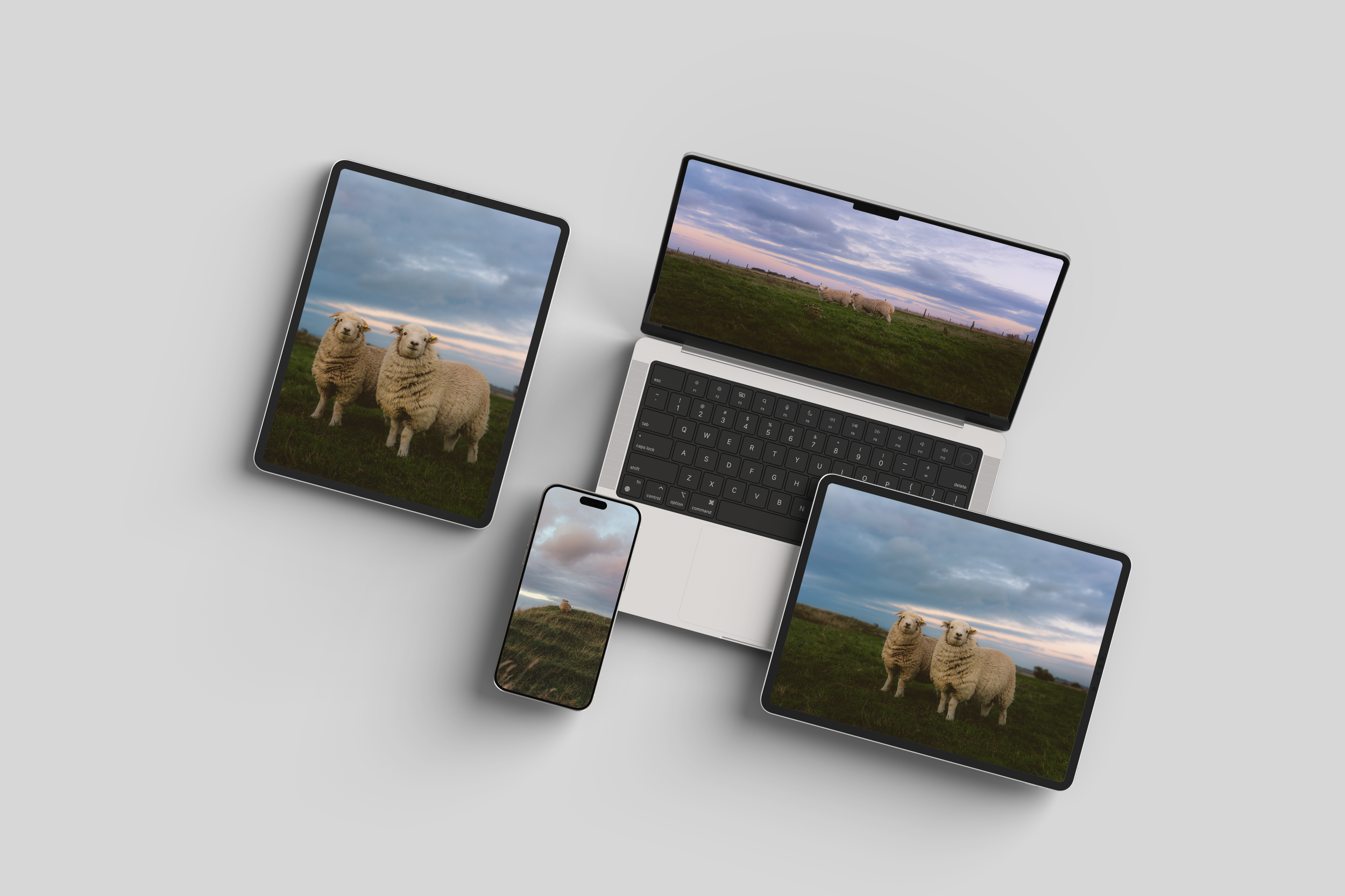Sheep-Wallpaper-Bundle-Mockup.png