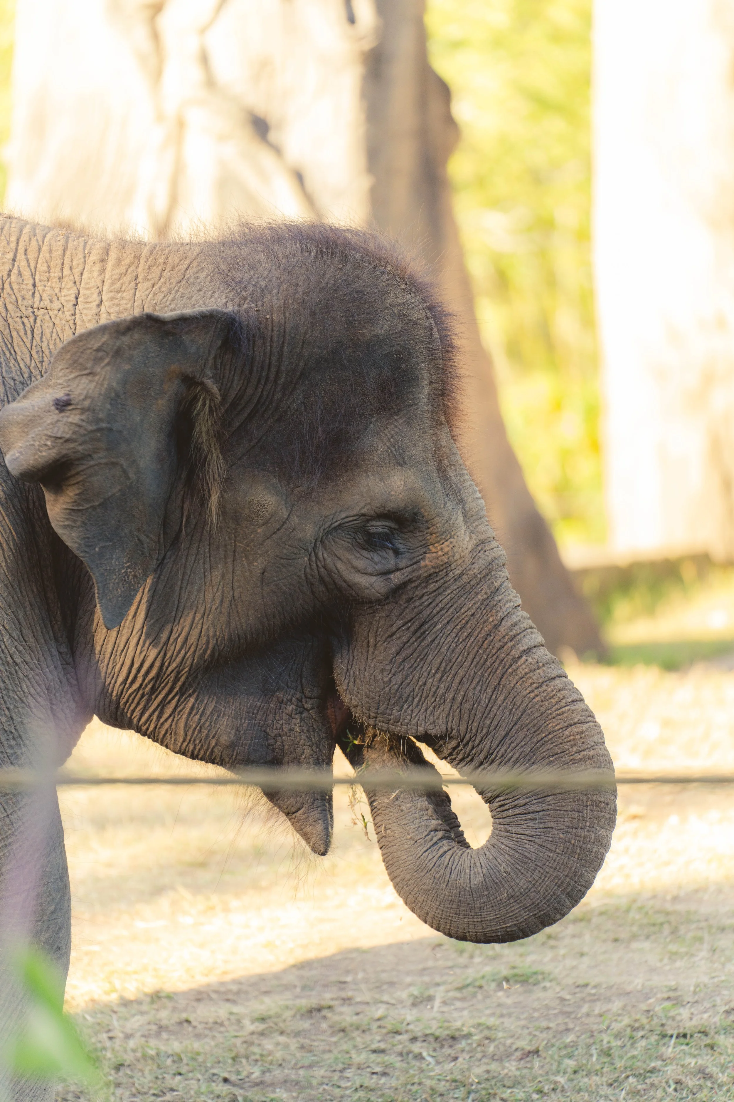Australia_Zoo-111.jpg