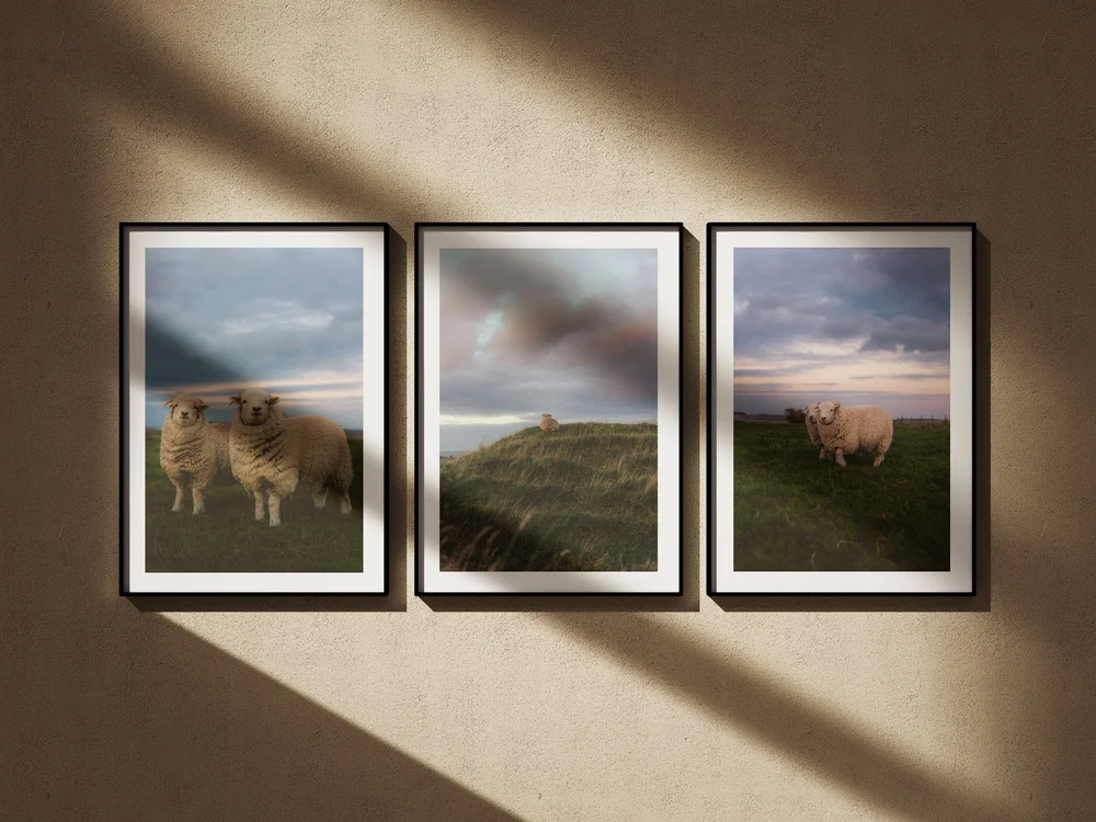 The Trio bundle, three prints shown mocked up on a wall