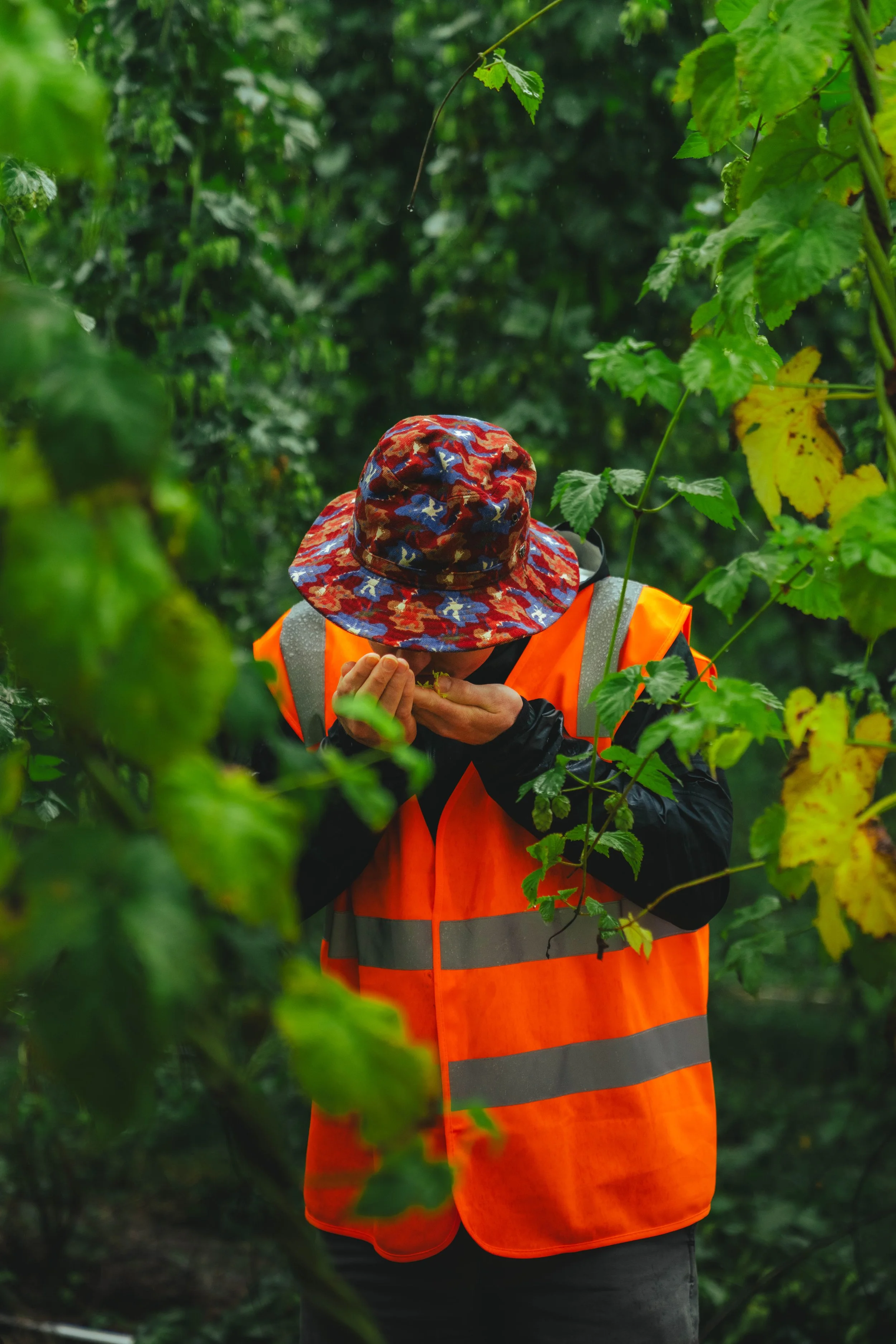 Hop-Harvest_Deya-Collab-4.jpg