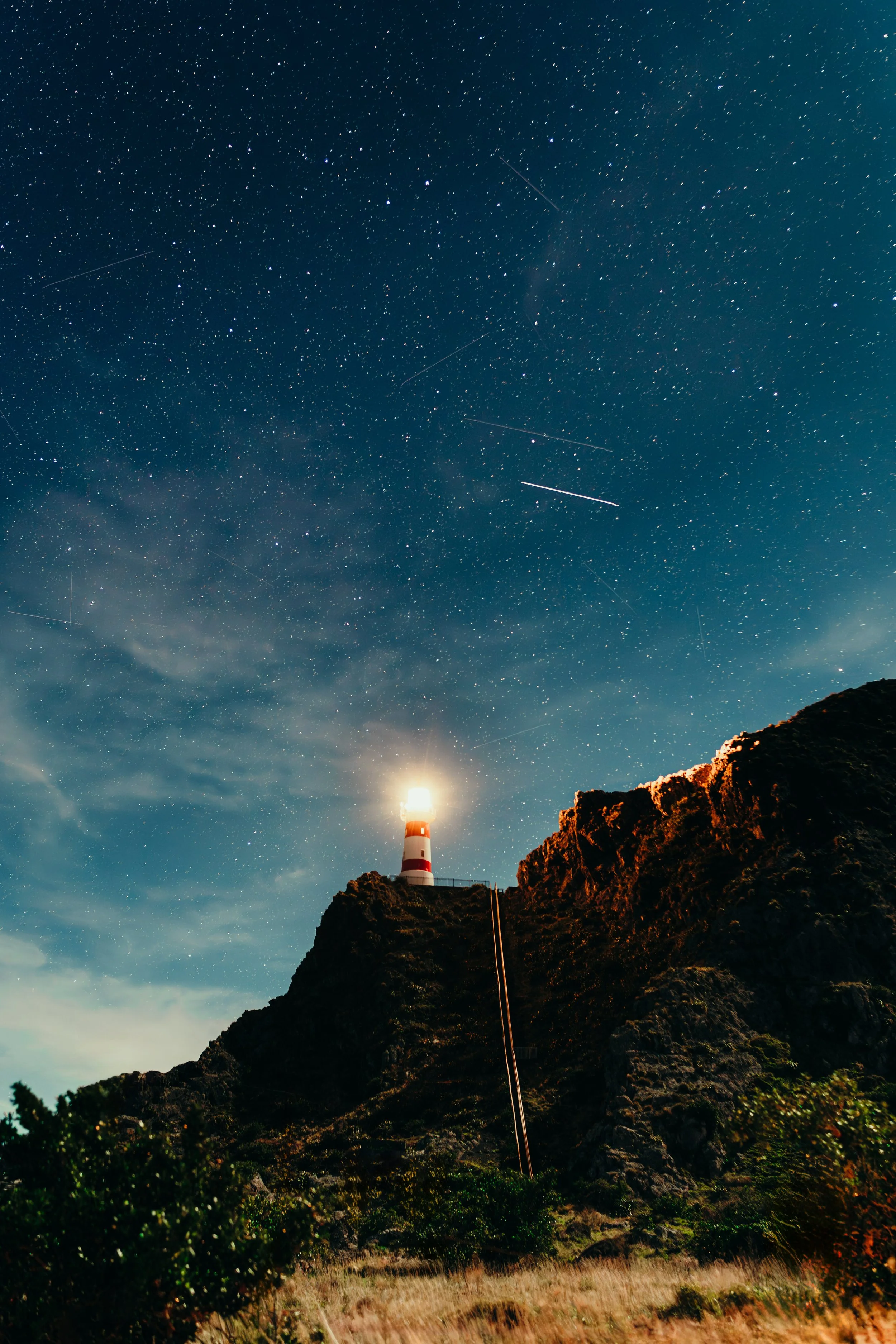 Cape_Palliser-4 3.JPG