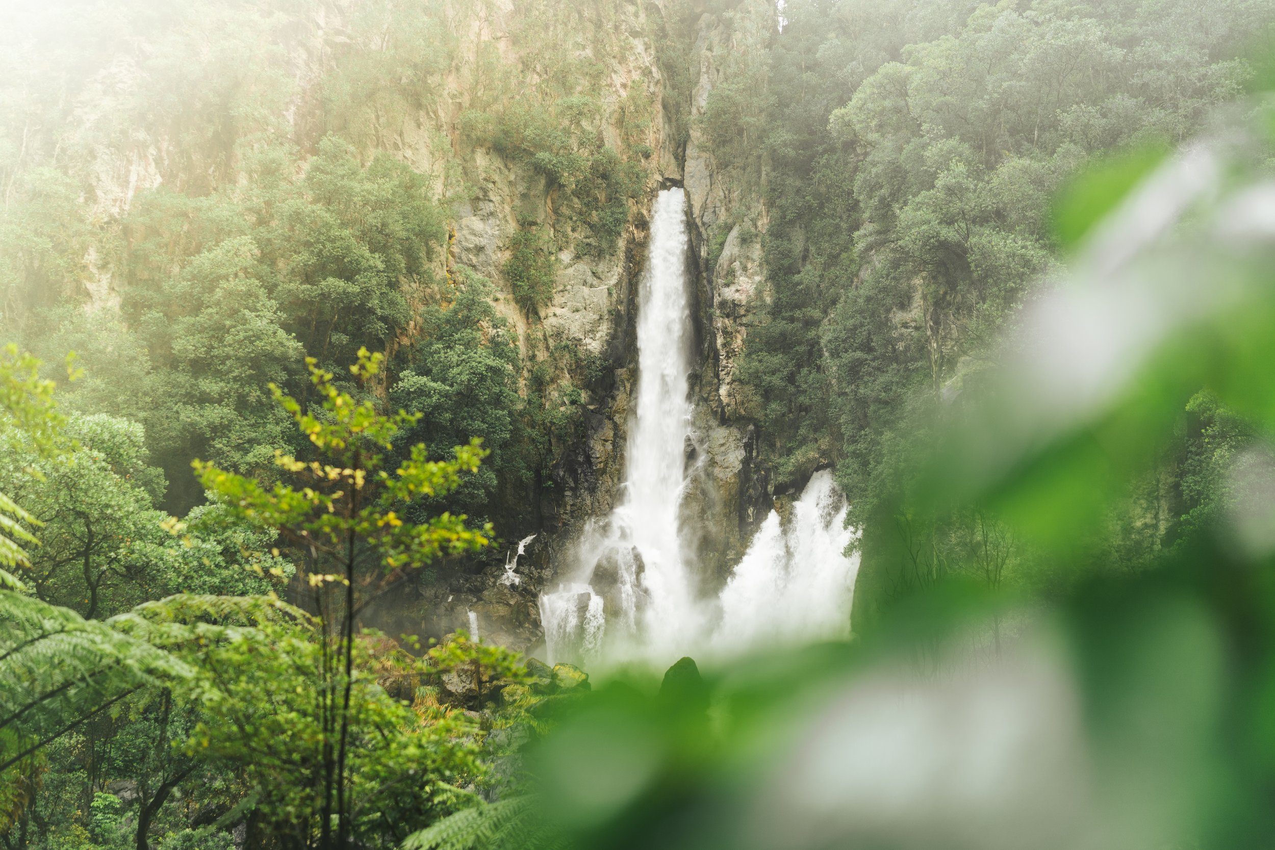 Tarawera_Falls-6 2.JPG