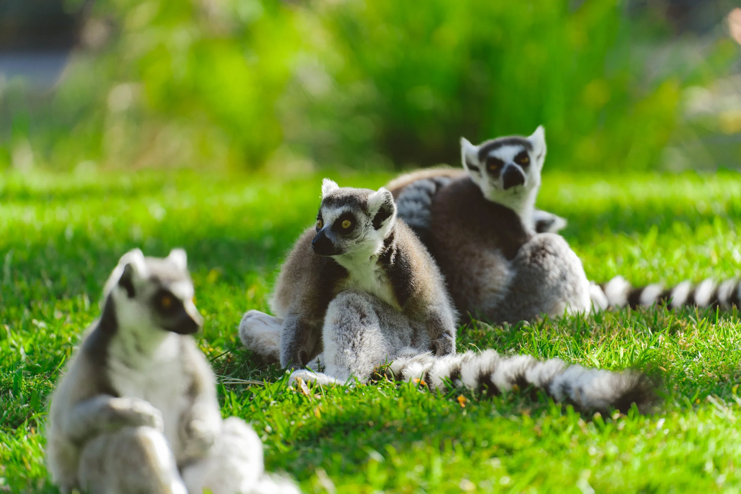 Australia_Zoo-79.jpg
