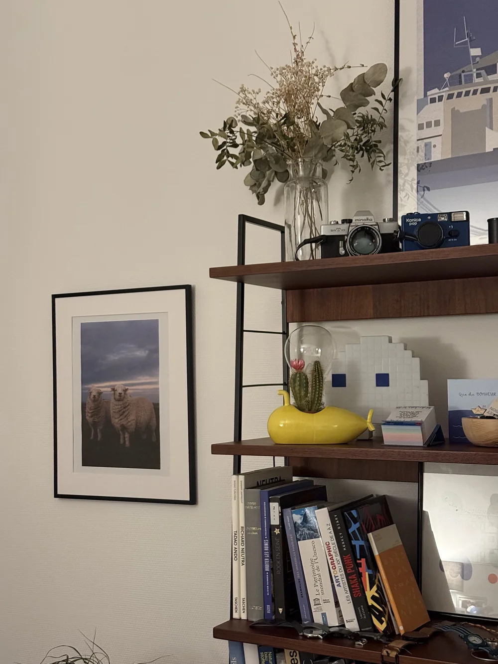 Sheep print in a black frame on a customer's wall beside a bookshelf