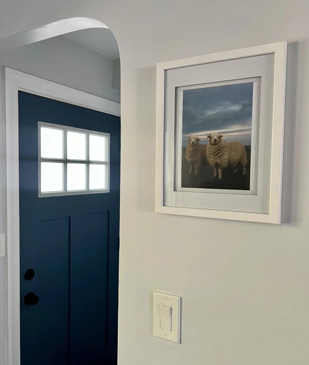 Two Best Friends print in a white frame, hanging in a customer's hallway