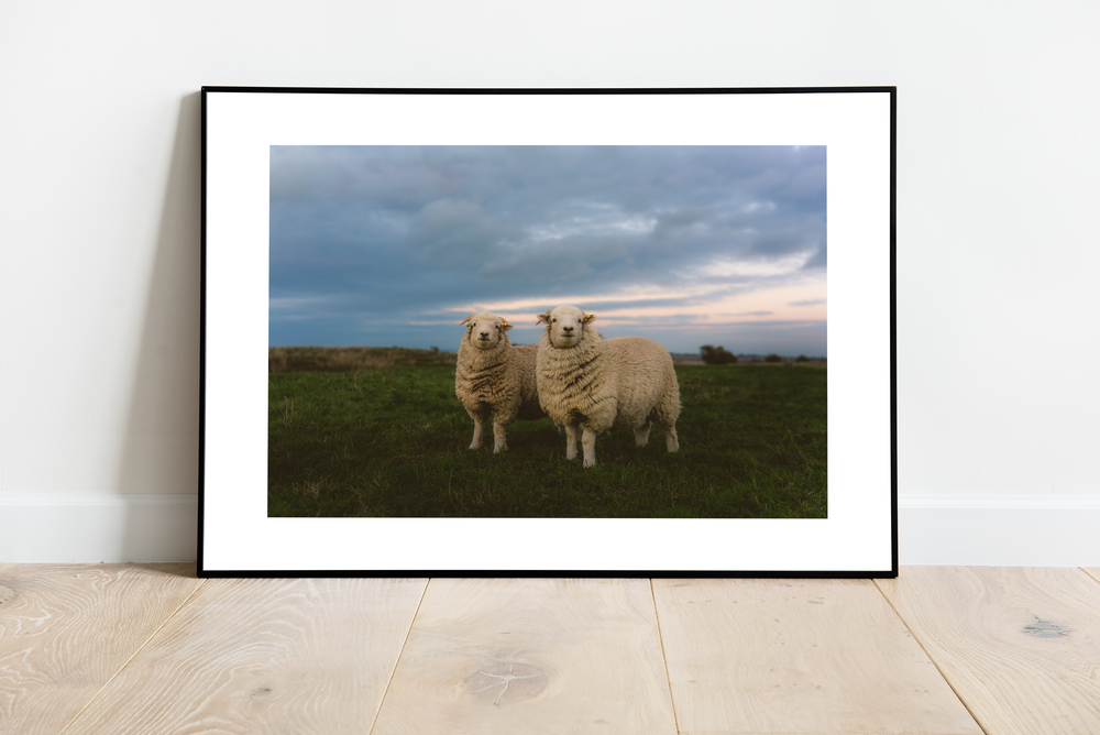 Two Best Friends - Landscape print, mockup shown on a wall