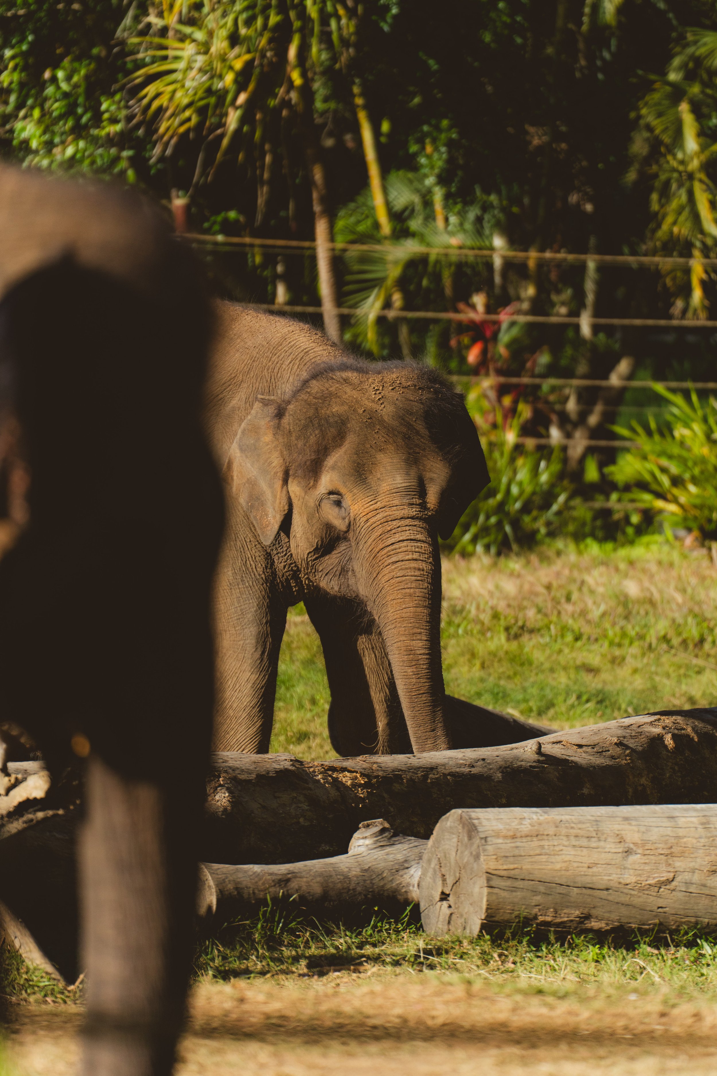 Australia_Zoo-73.jpg