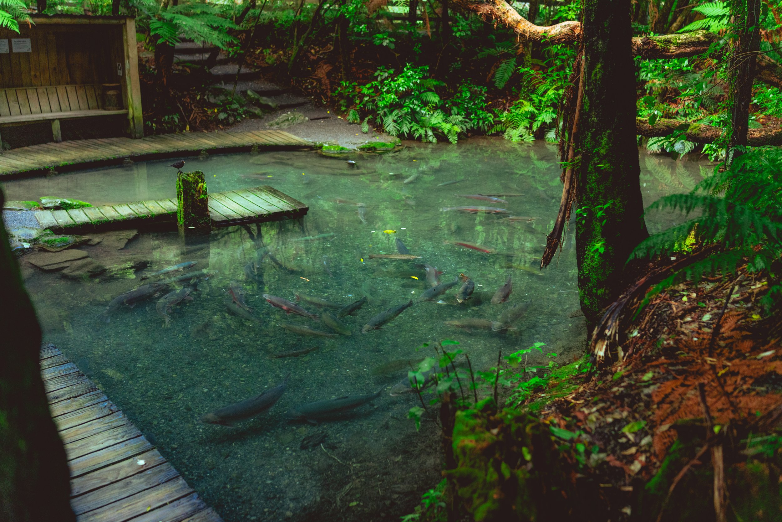 Staglands_Resized-48.jpg