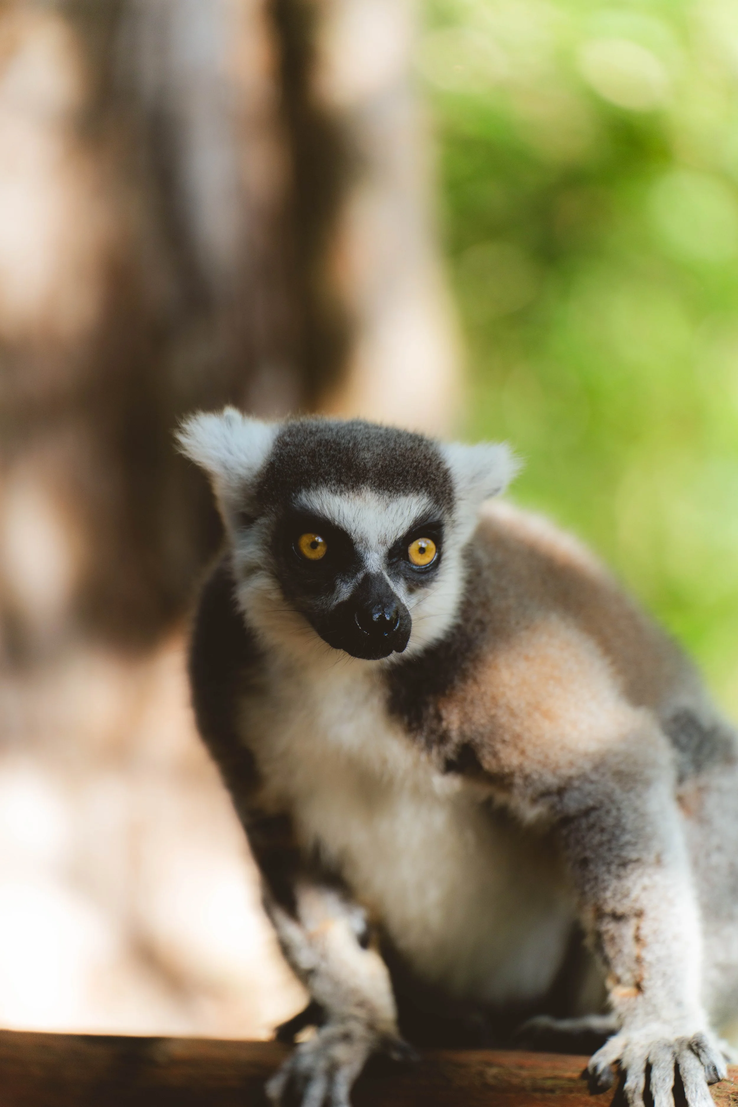 Australia_Zoo-88.jpg