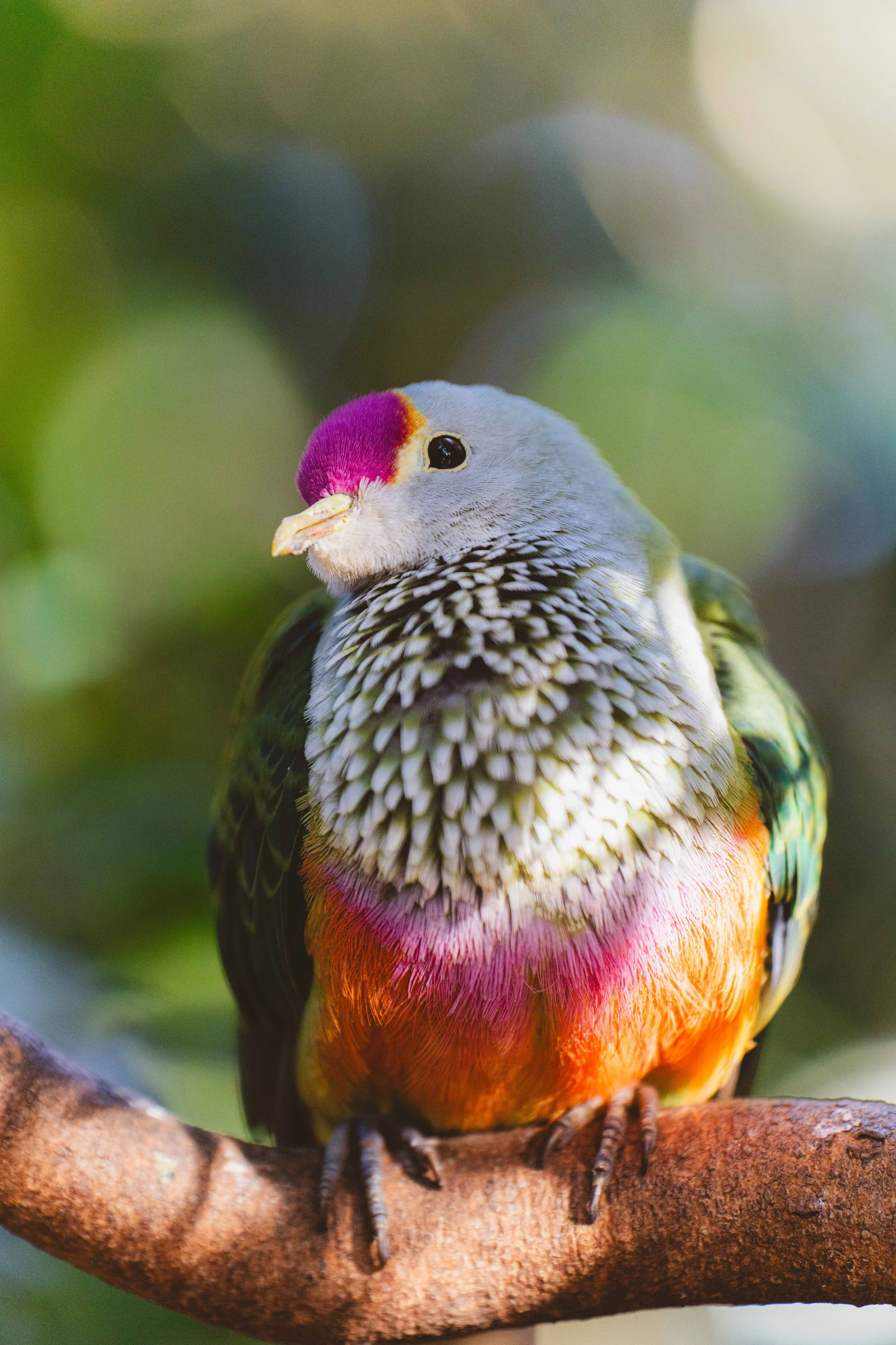 Australia_Zoo-116.jpg