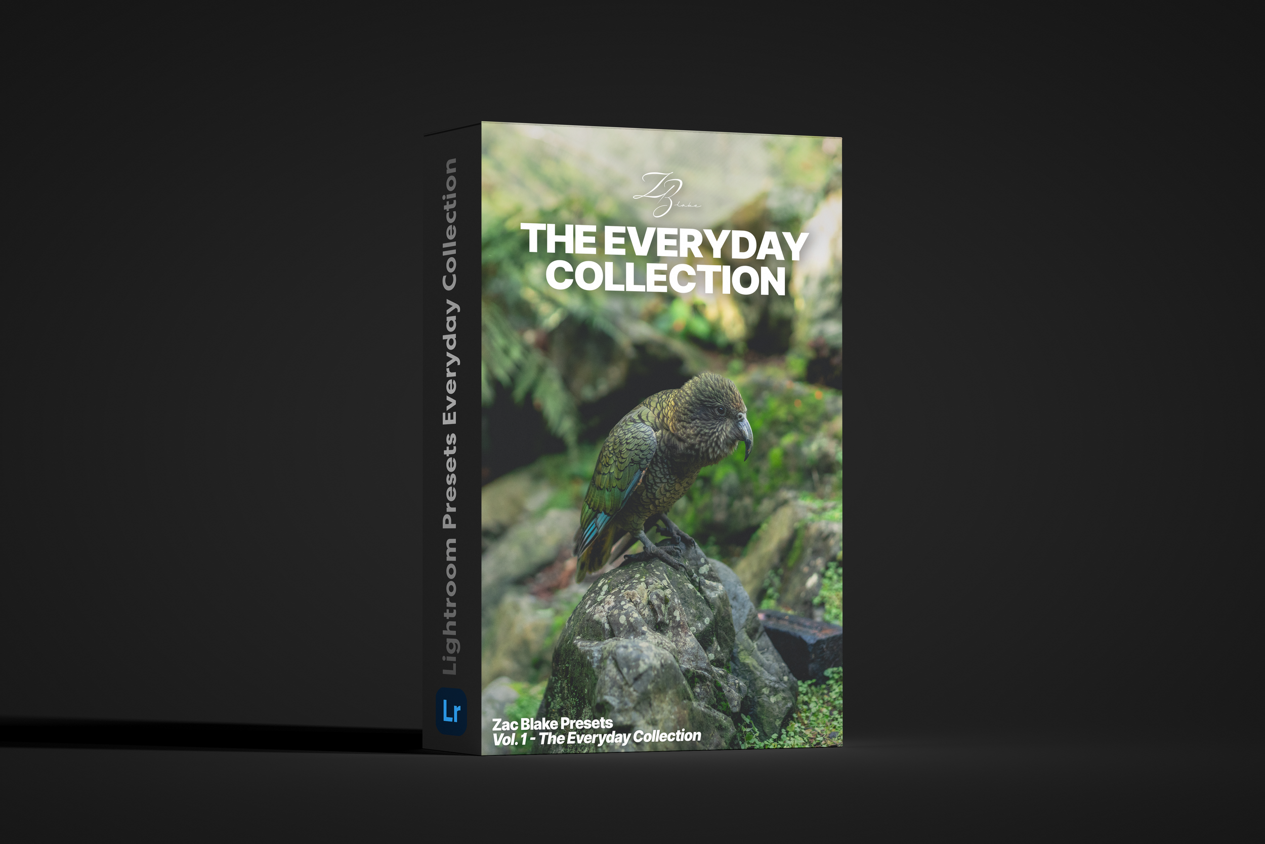 ZB Presets Vol. 1 - The Everyday Collection
