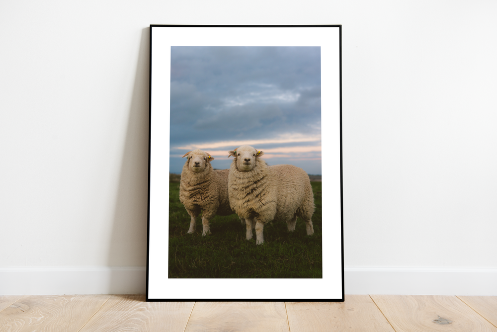 Two Best Friends print, mockup shown on a wall