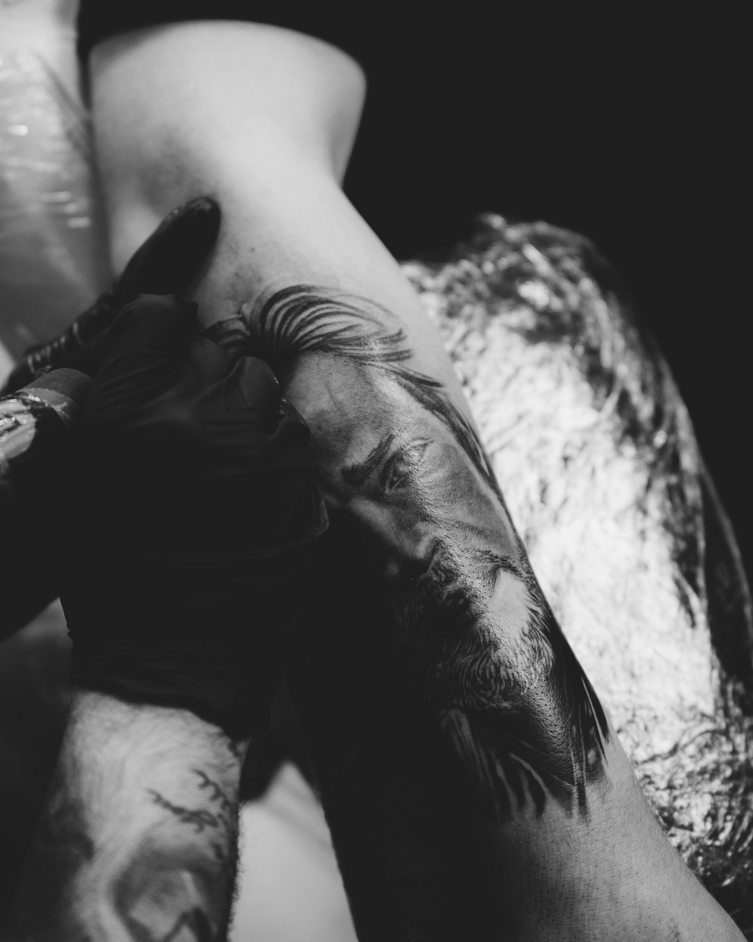 Sinatras_JUB-18(1).jpg