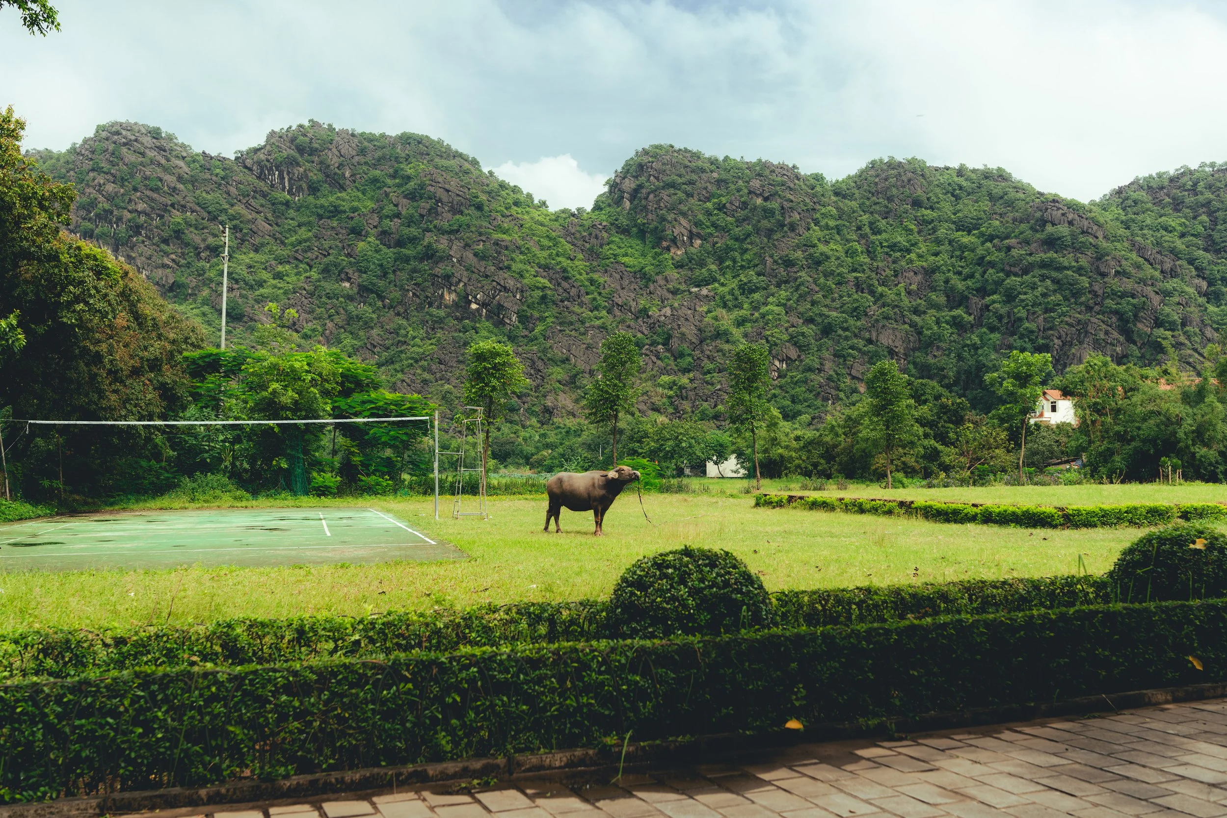 Vietnam_Resized-74.jpg