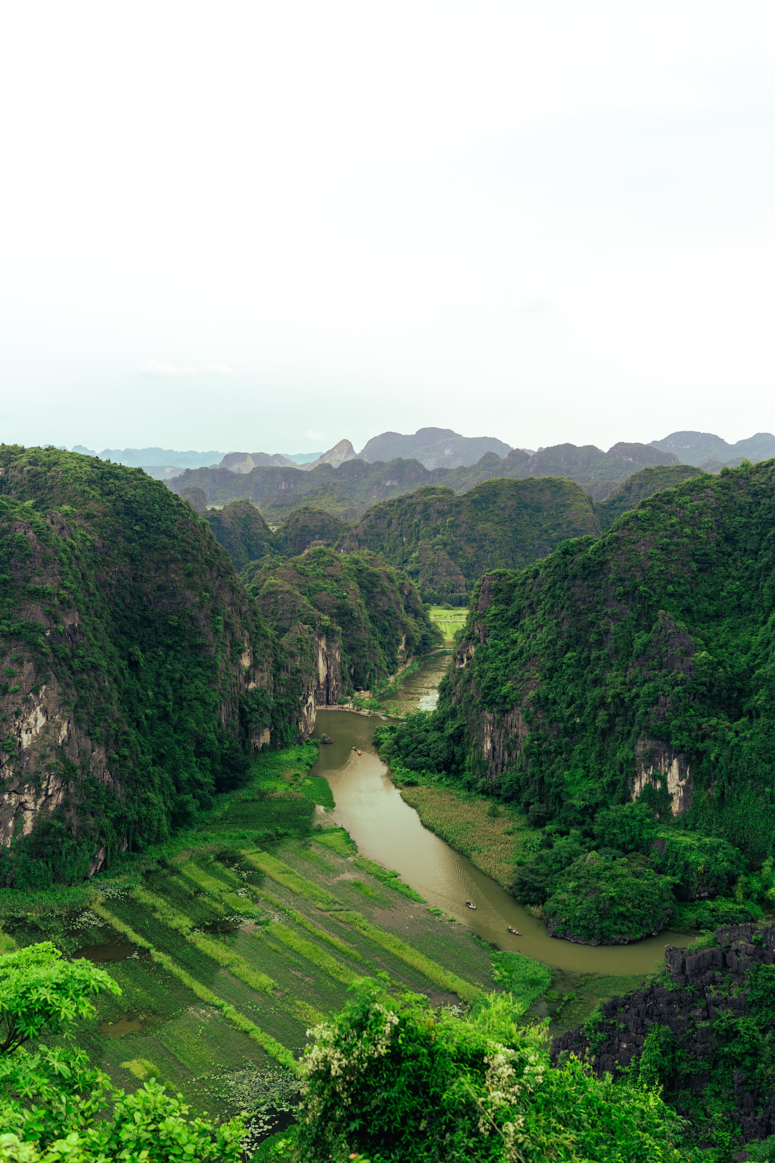 Vietnam_Resized-86.jpg
