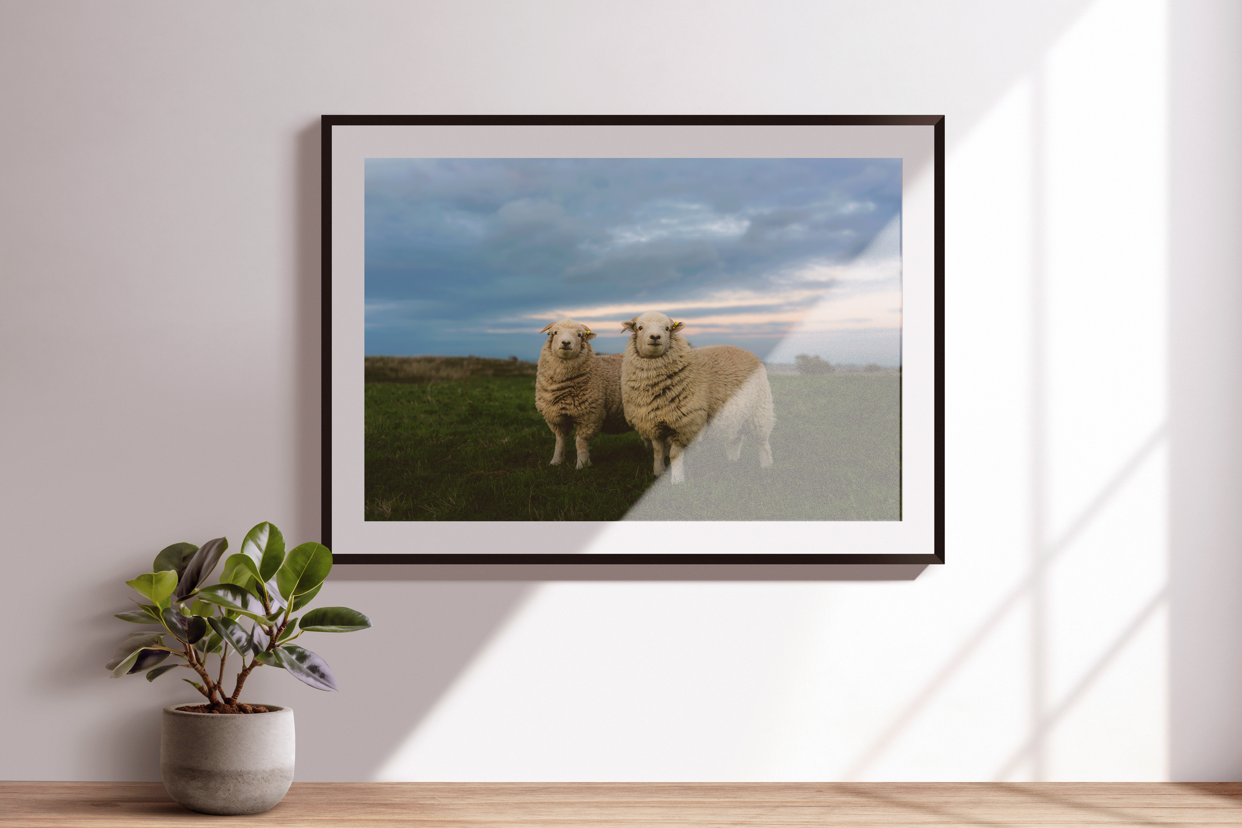 Supporting_MockUp_Landscape-1.png