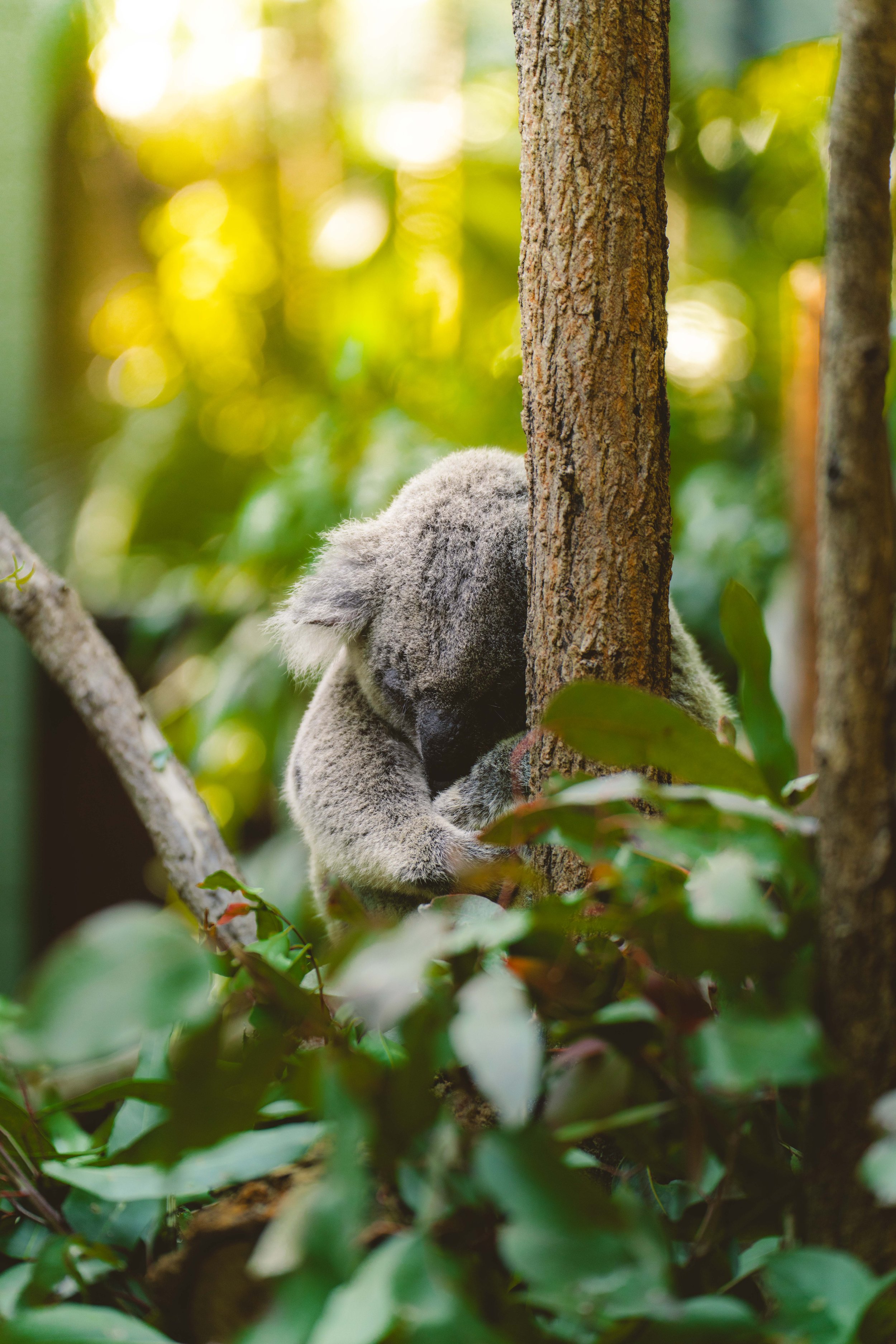 Australia_Zoo-14.jpg