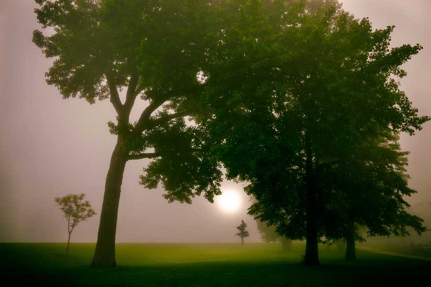 Pictures_0081-stephBD copy.jpg