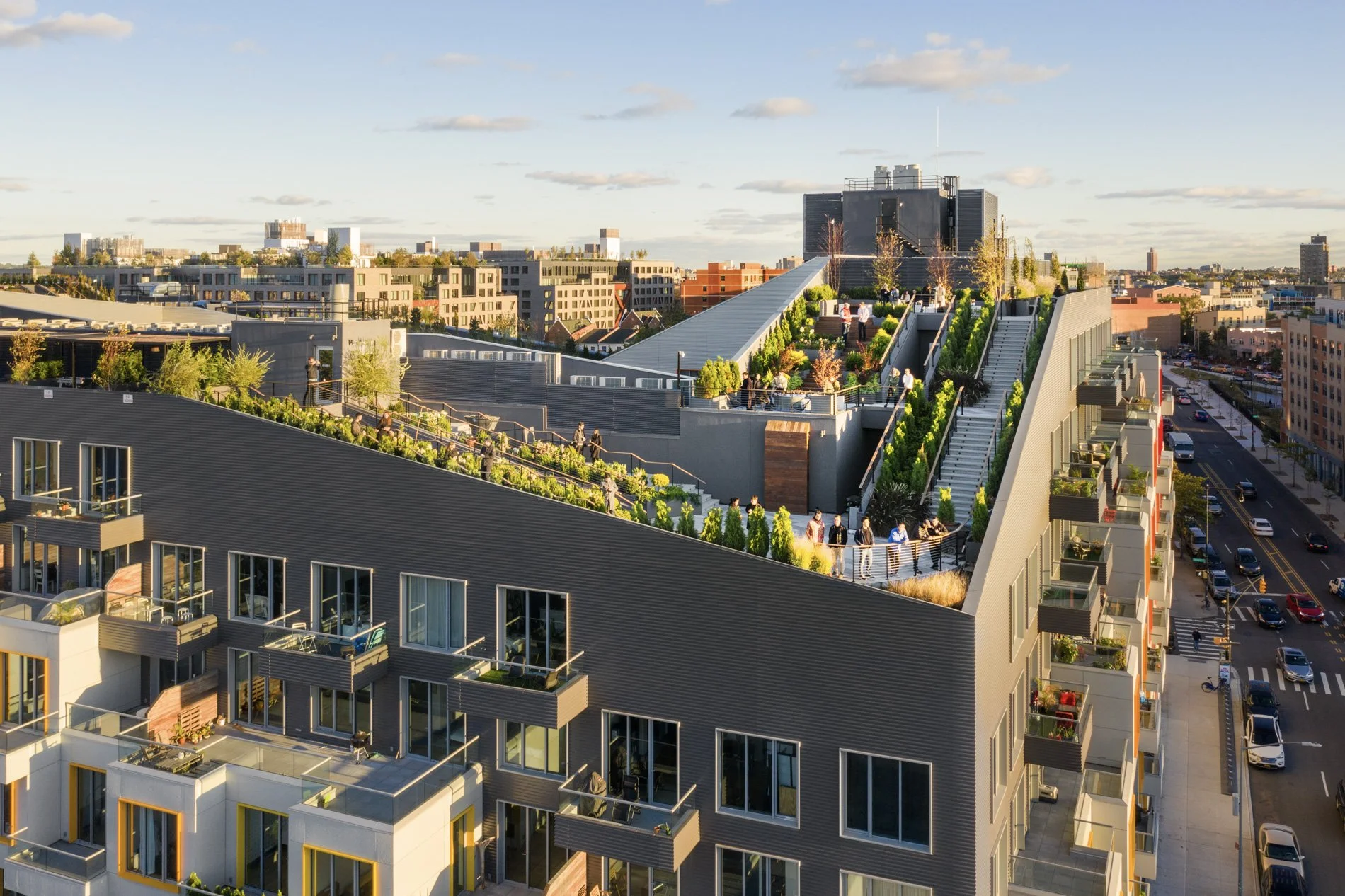 Rheingold Bushwick - ODA