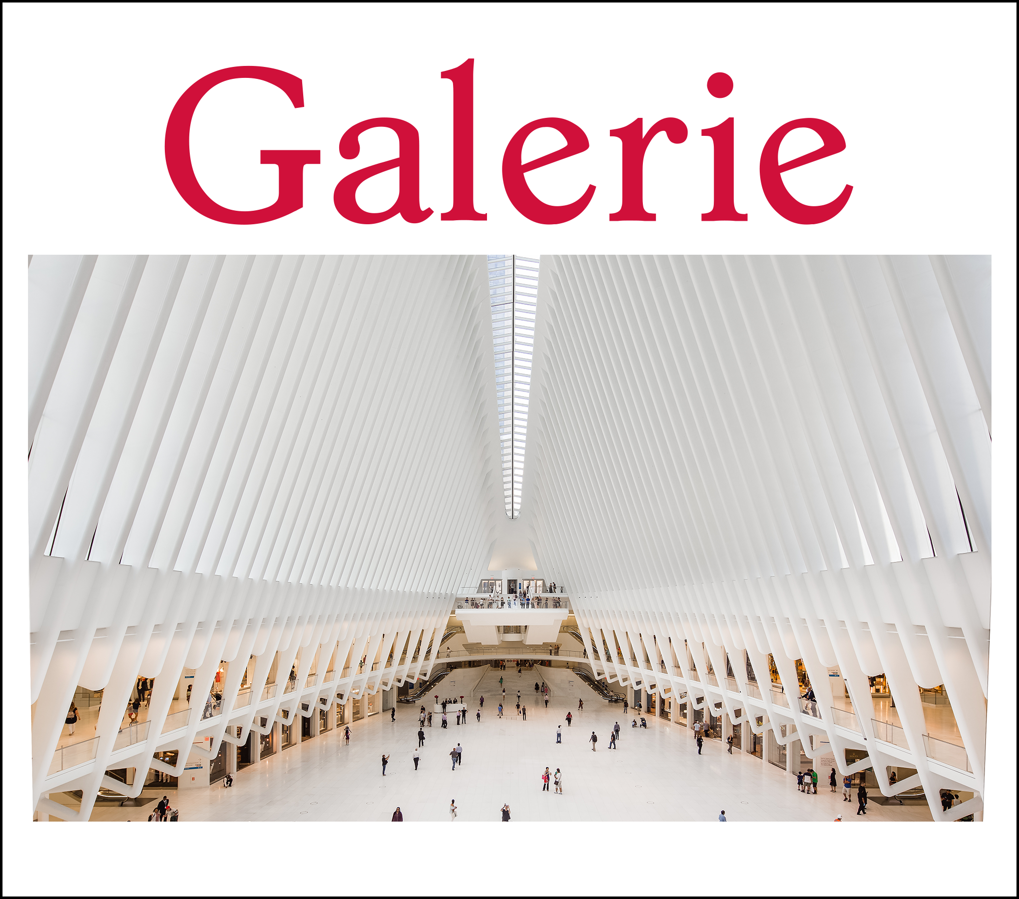 Cover of a book titled '50 Modern Buildings That Changed New York' with a photo of the Oculus, a modern white transportation hub in New York, featuring a spacious interior and people walking inside.