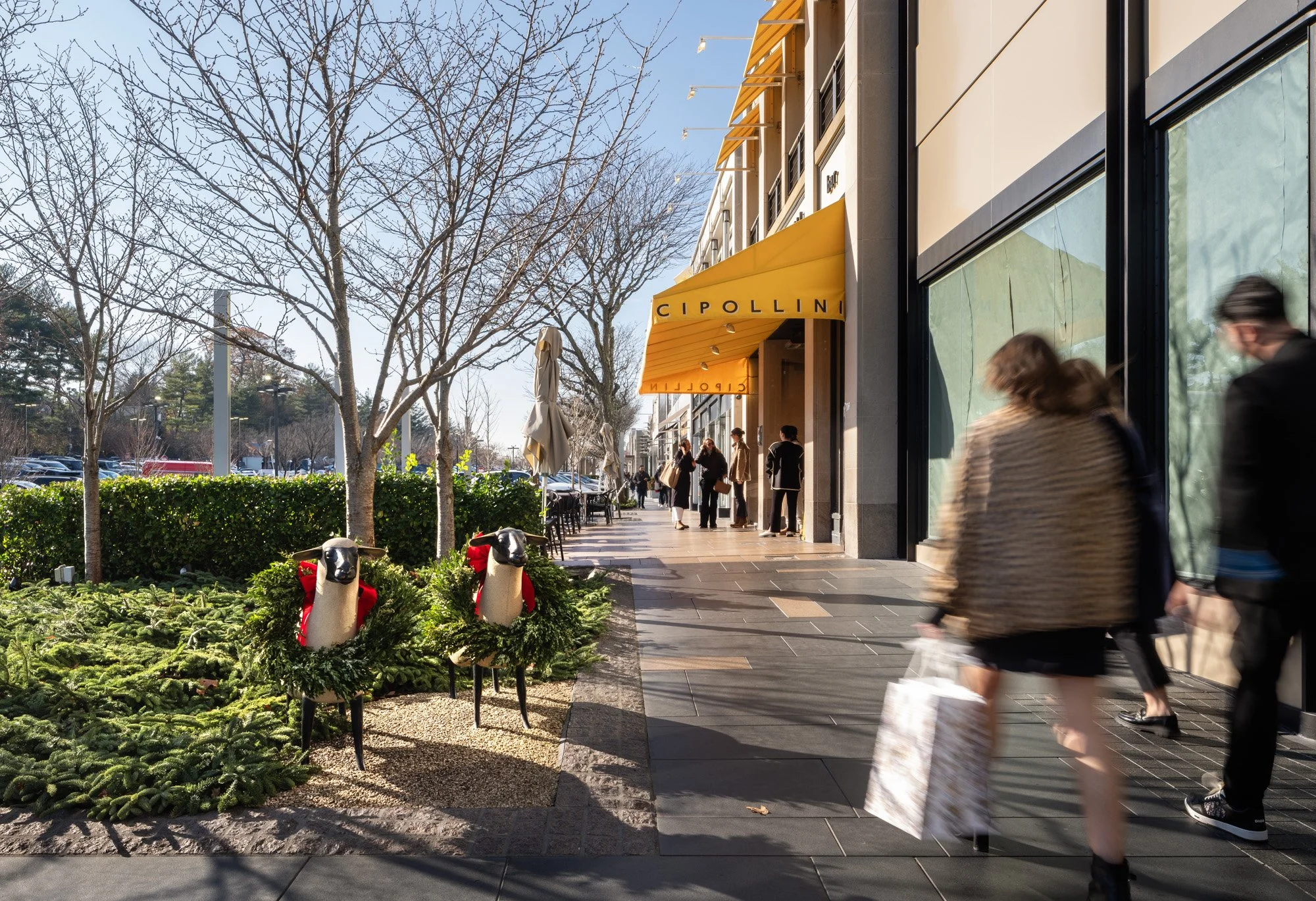 Shoppers at Americana Manhasset promenade and storefronts across seasons — Champions for Charity winter event, holiday lighting, and spring lifestyle photography, Long Island NY — Pavel Bendov Photography