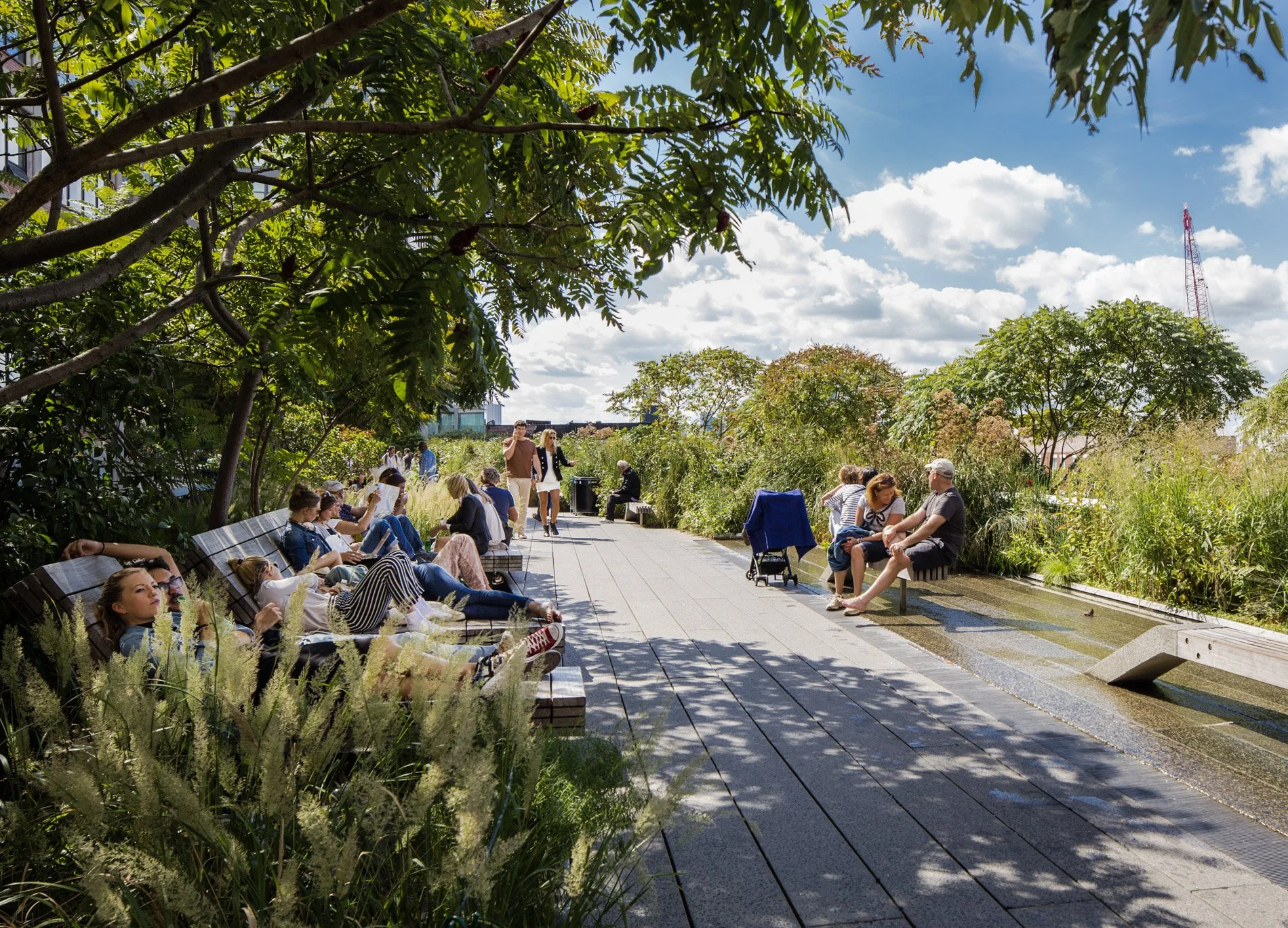 The High Line by James Corner Field Operations