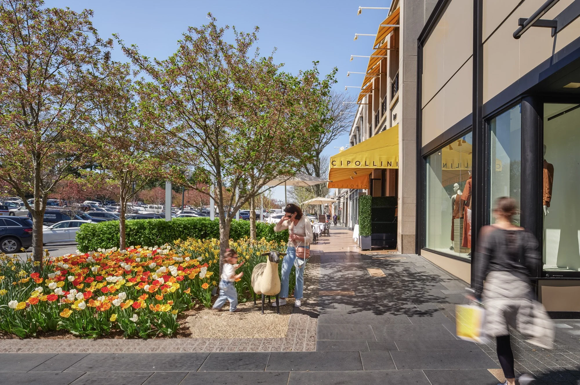 Spring tulips in bloom along Americana Manhasset promenade with shoppers, luxury open-air shopping center Long Island NY — photography by Pavel Bendov