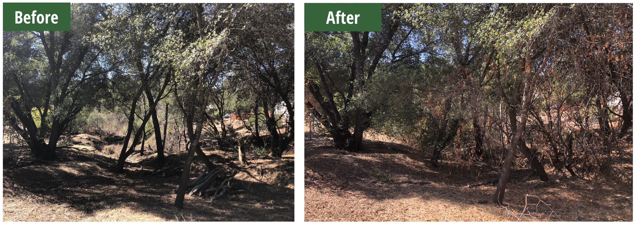 Screen Shot 2022-12-18 at 8.19.39 PM.png