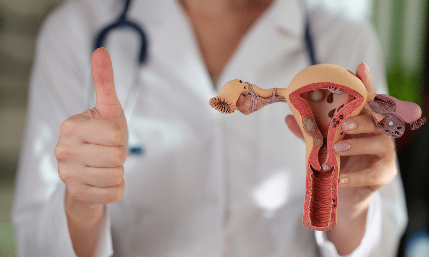 A doctor comparing Uterine Fibroid Embolization and Myomectomy using a model of a uterus.
