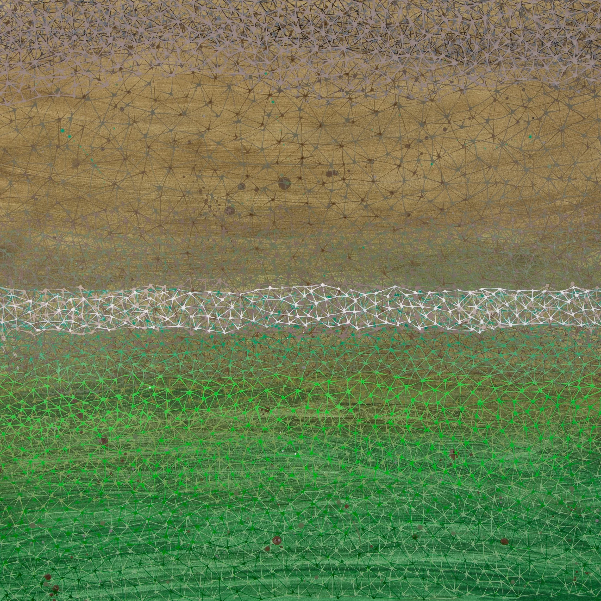 “TERRA”