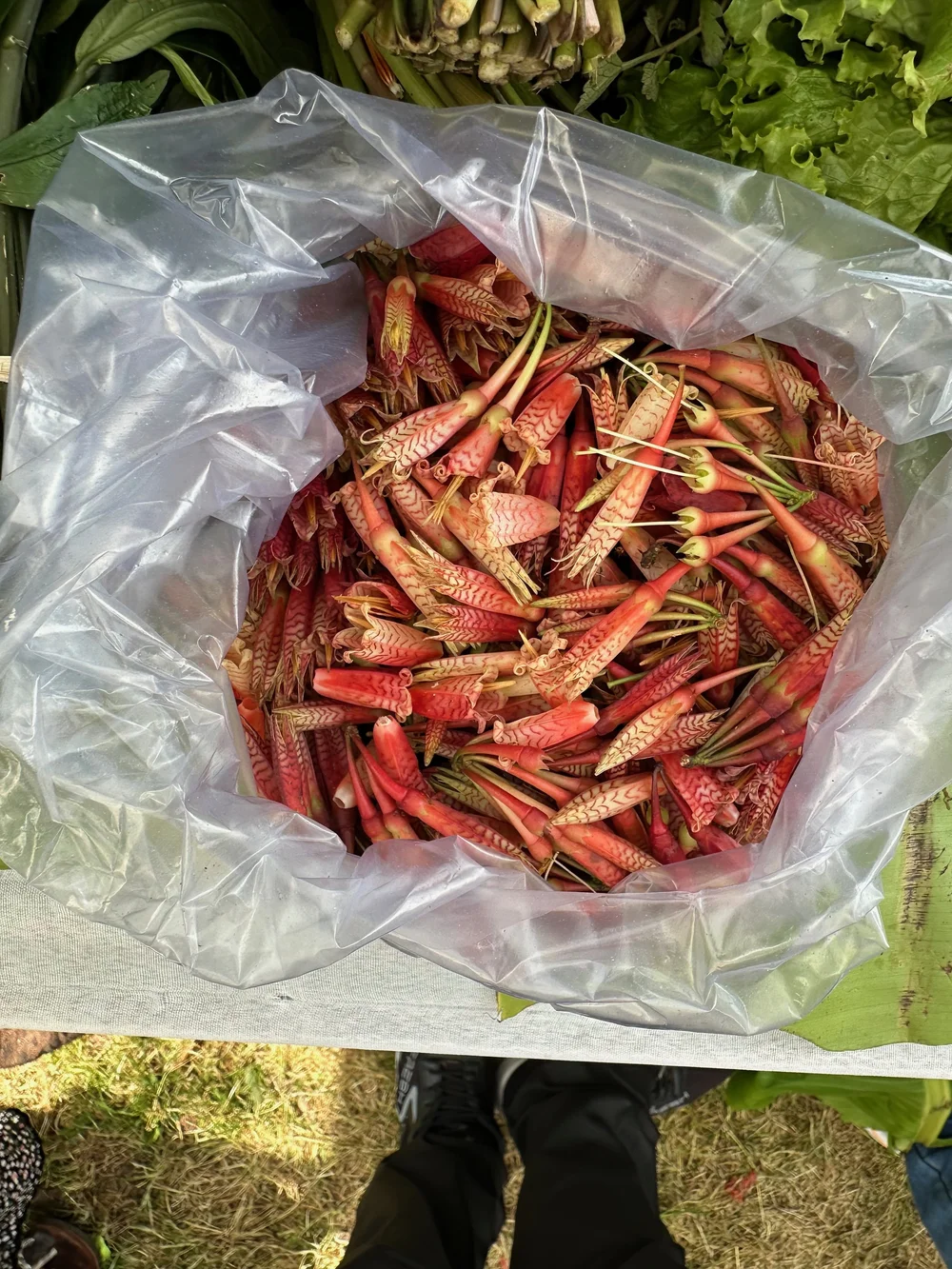 the flowers we loved as a chutney