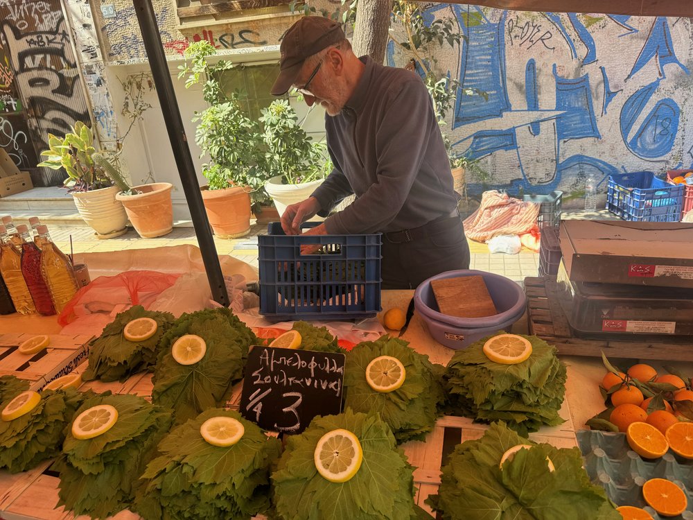 Grape Leaves